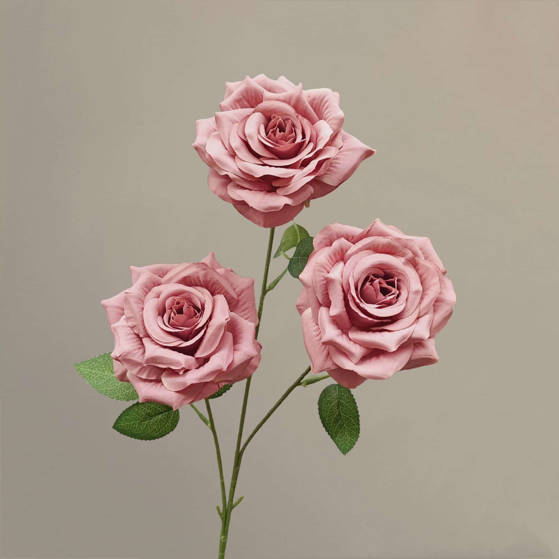 21 colors 3 heads diamond rose with leaves