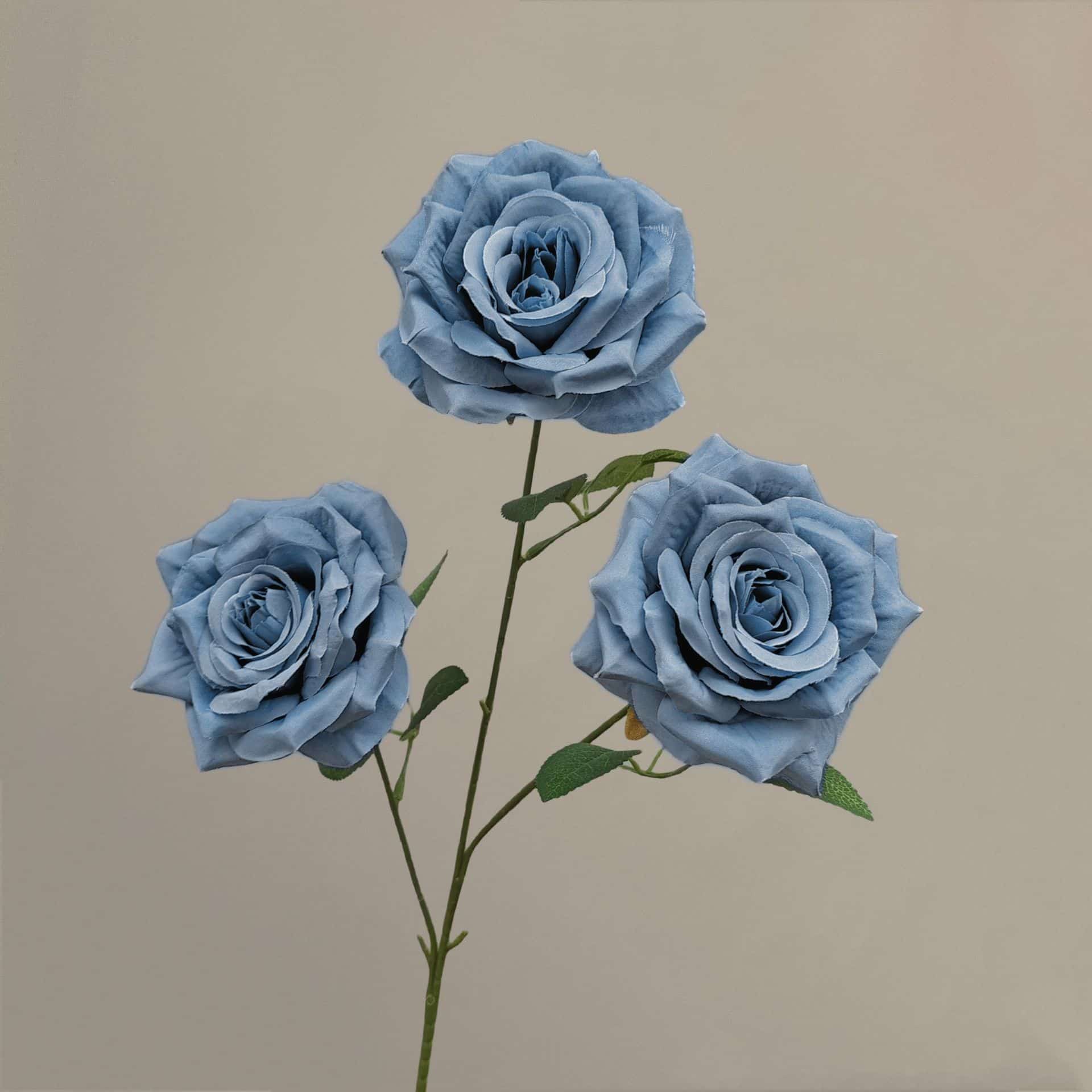 21 colors 3 heads diamond rose with leaves