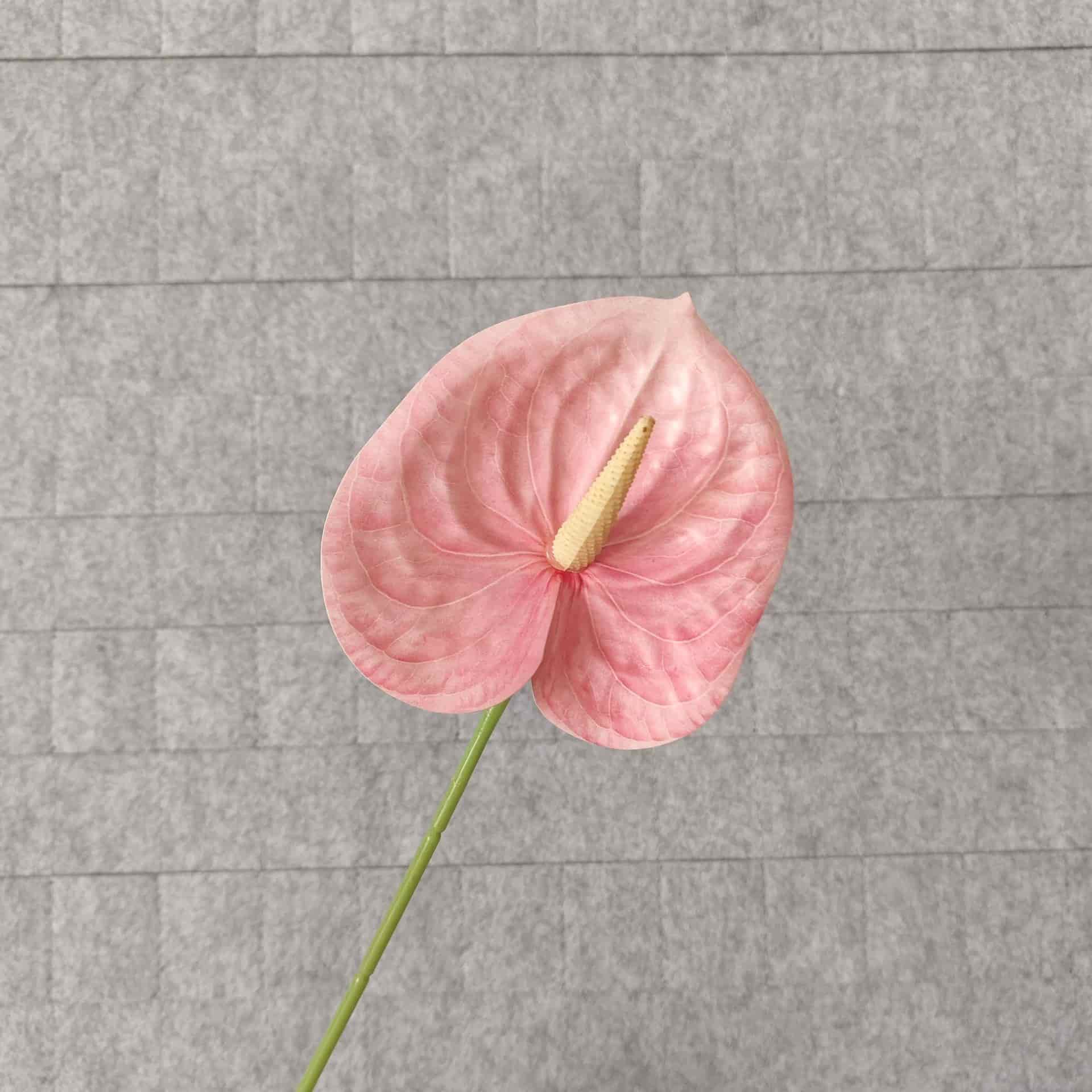 Artificial anthurium flowers