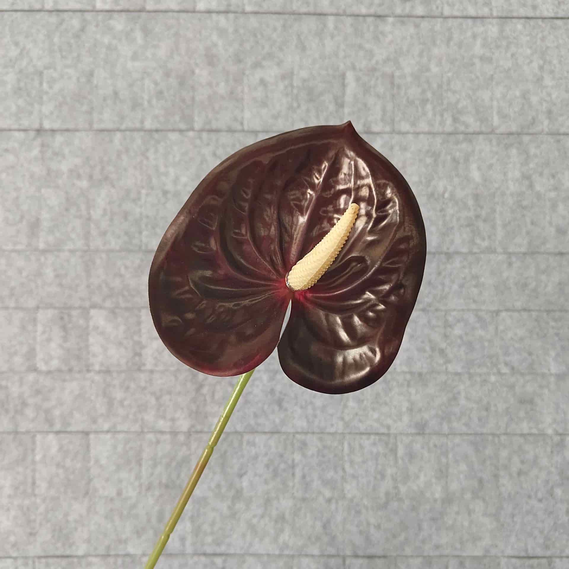 Artificial anthurium flowers