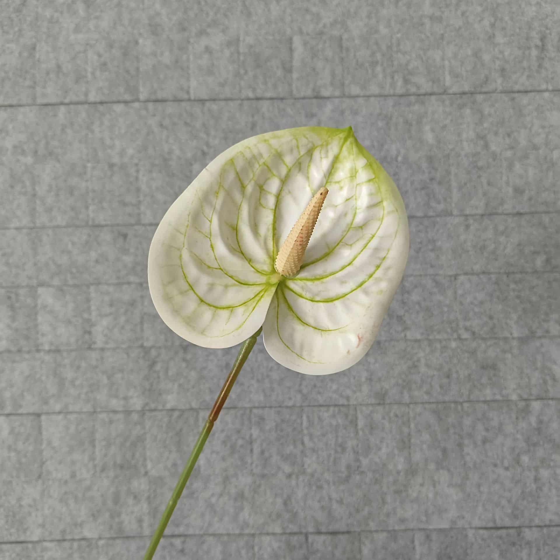Artificial anthurium flowers
