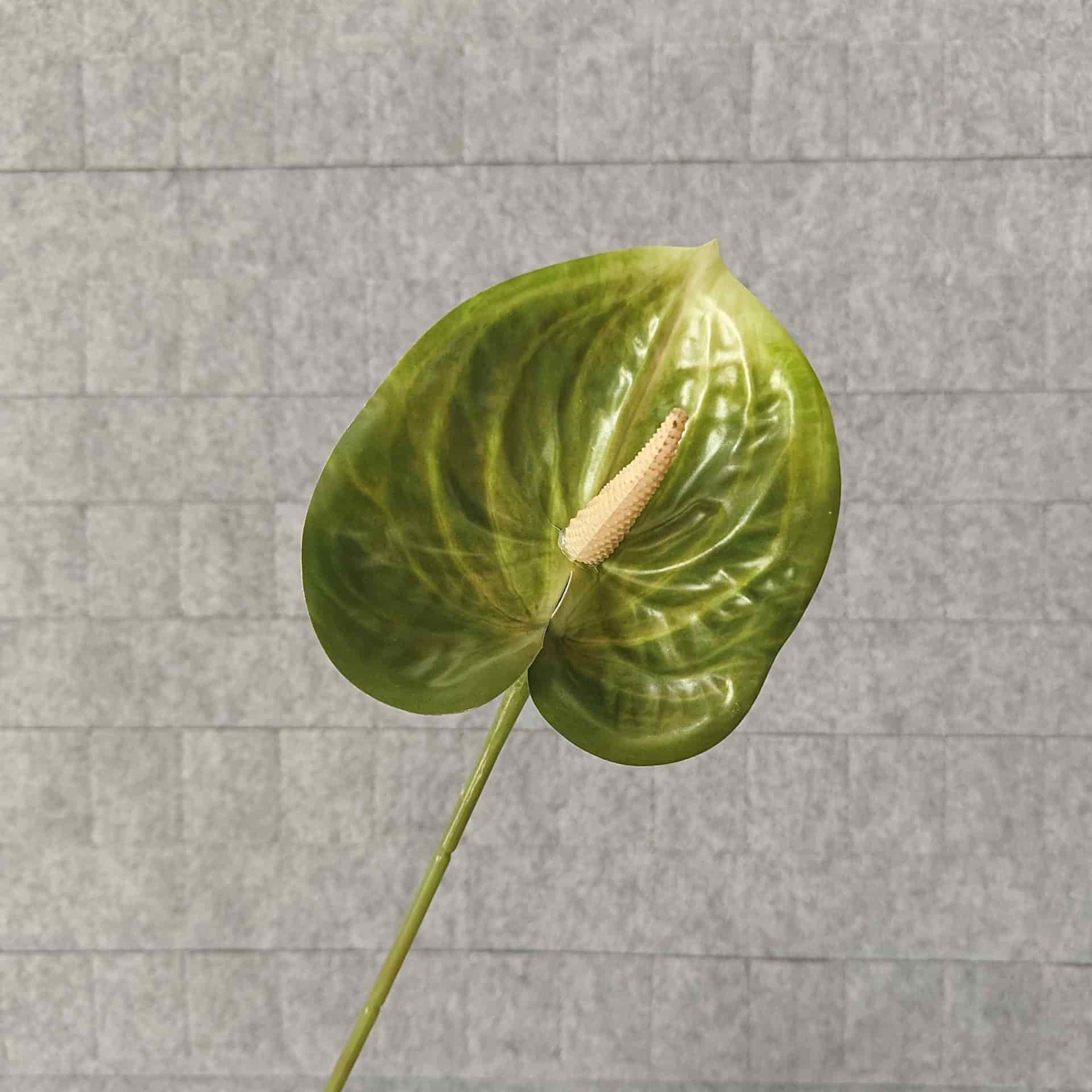 Artificial anthurium flowers