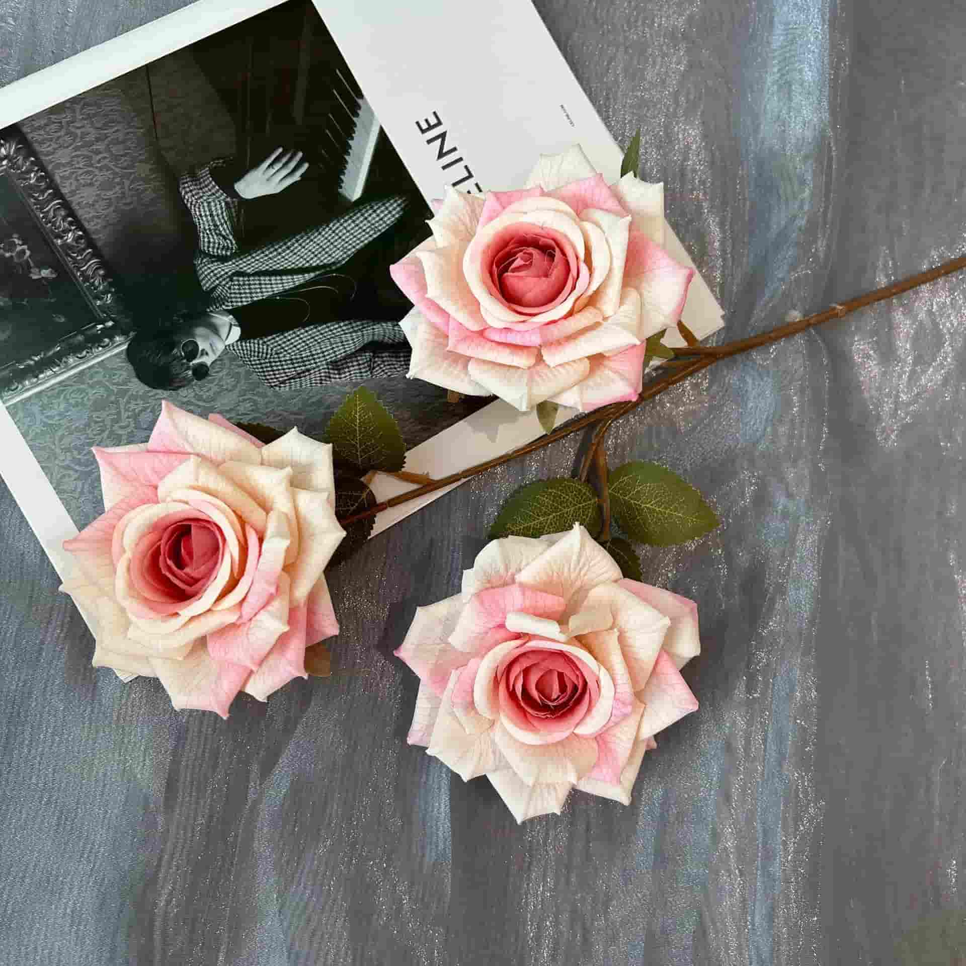 3 heads vantage rose