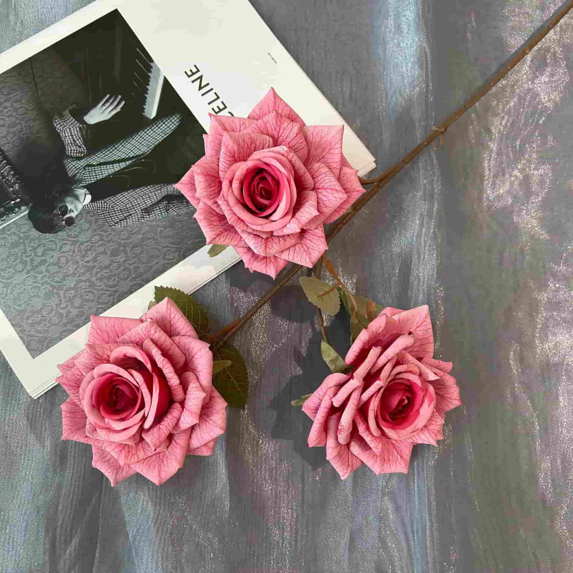 3 heads vantage rose