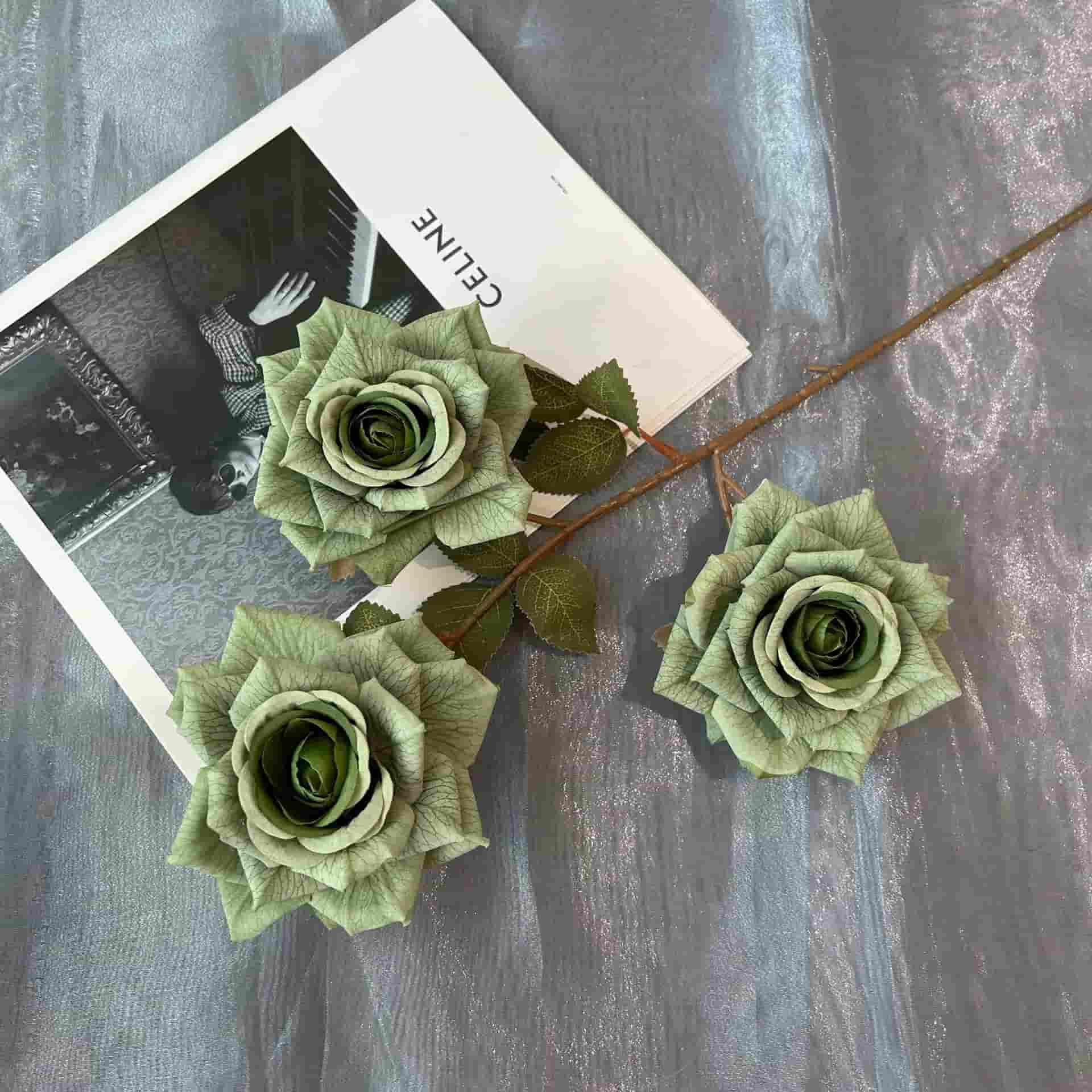 3 heads vantage rose