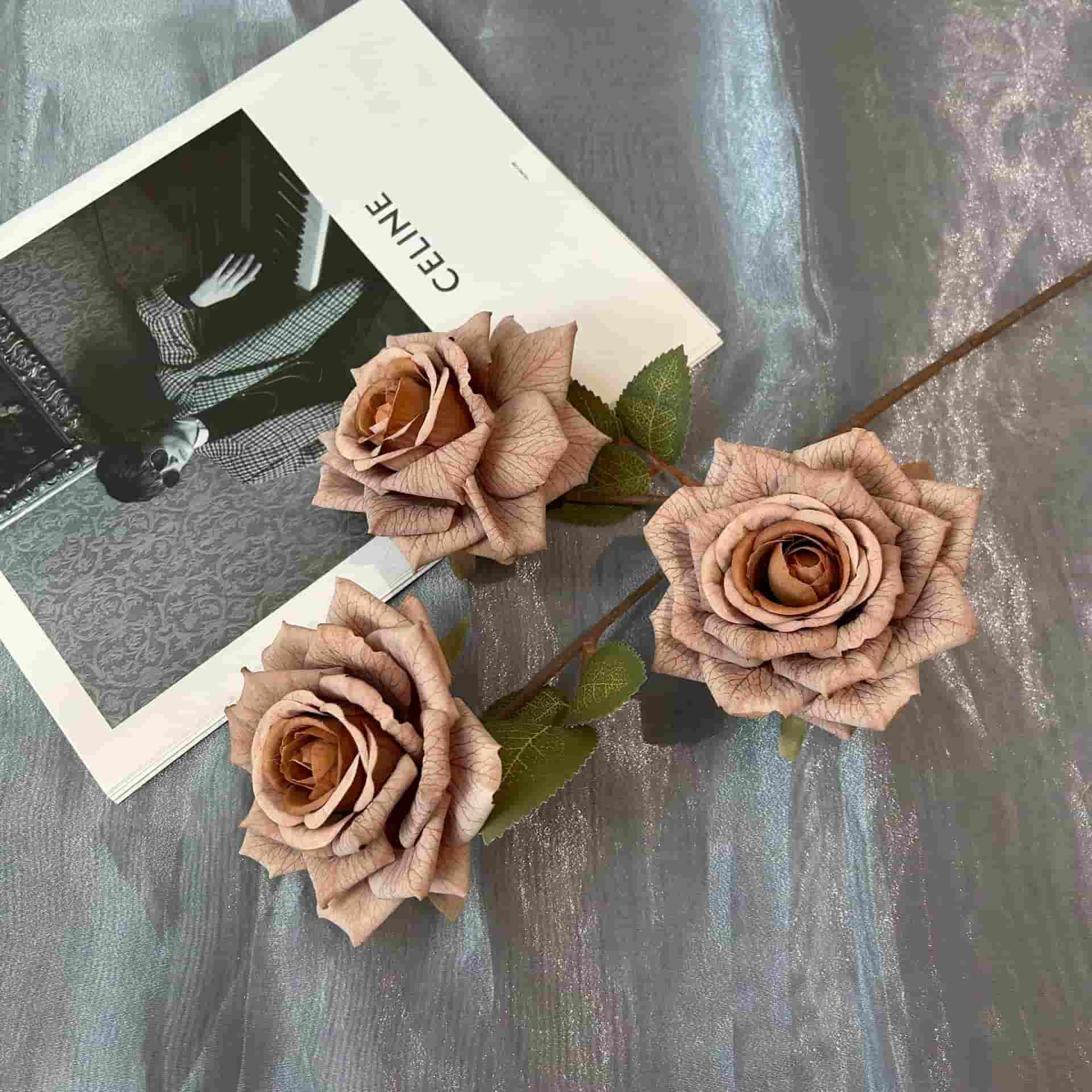 3 heads vantage rose