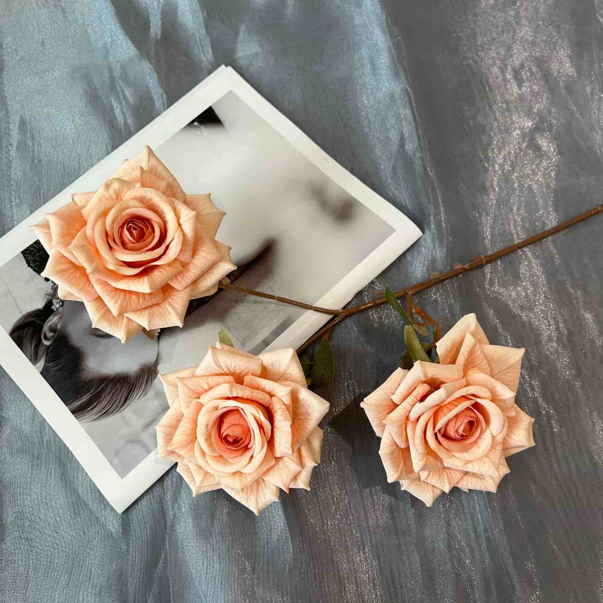 3 heads vantage rose