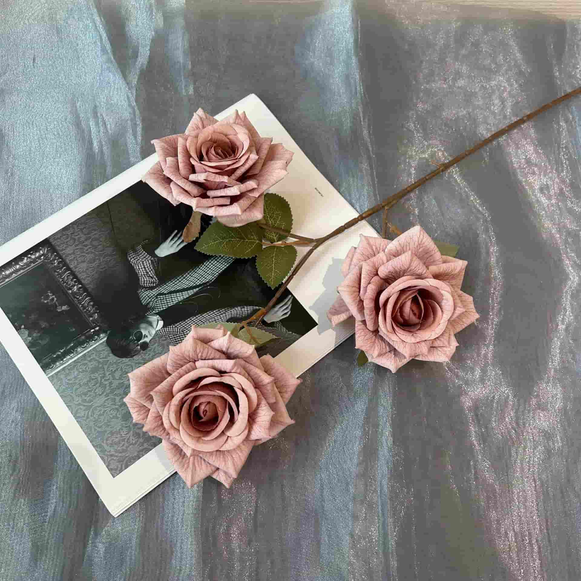 3 heads vantage rose