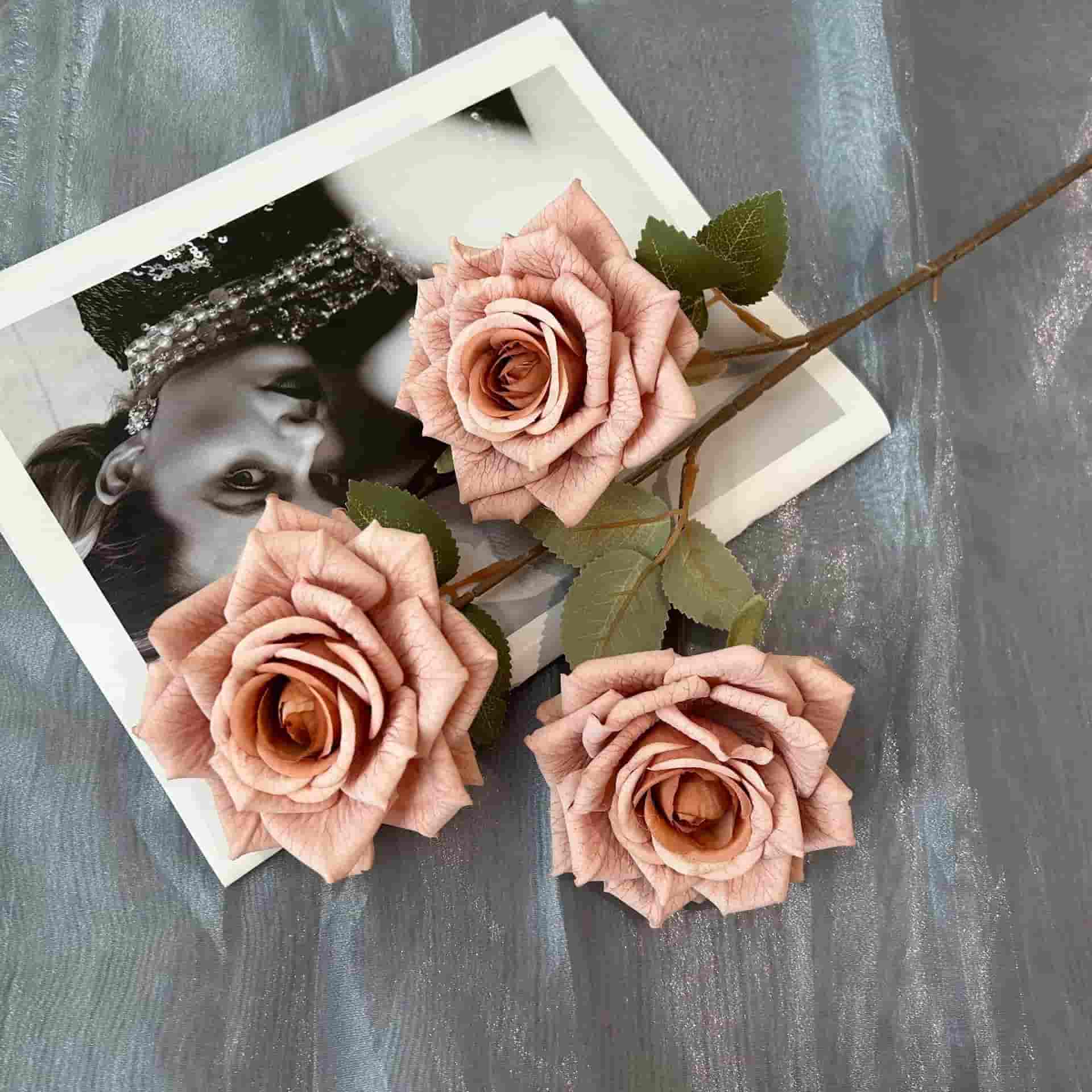 3 heads vantage rose