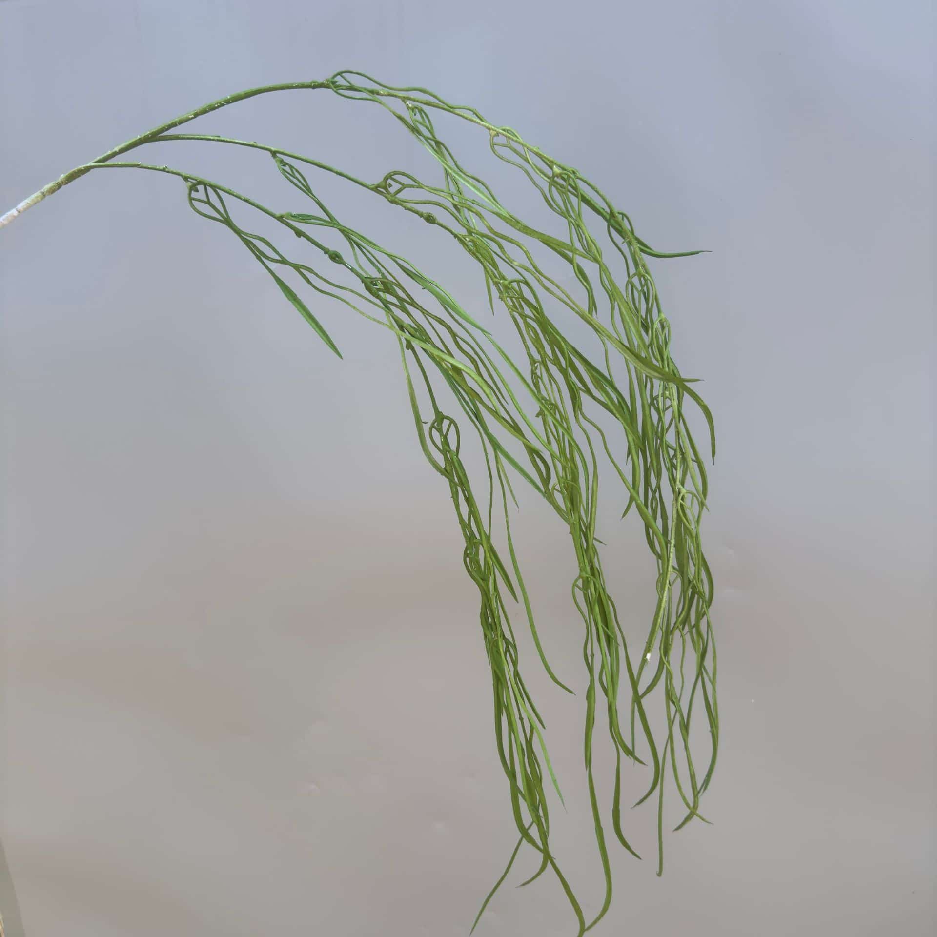 Green forest series green artificial plant green grass for wedding event decoration