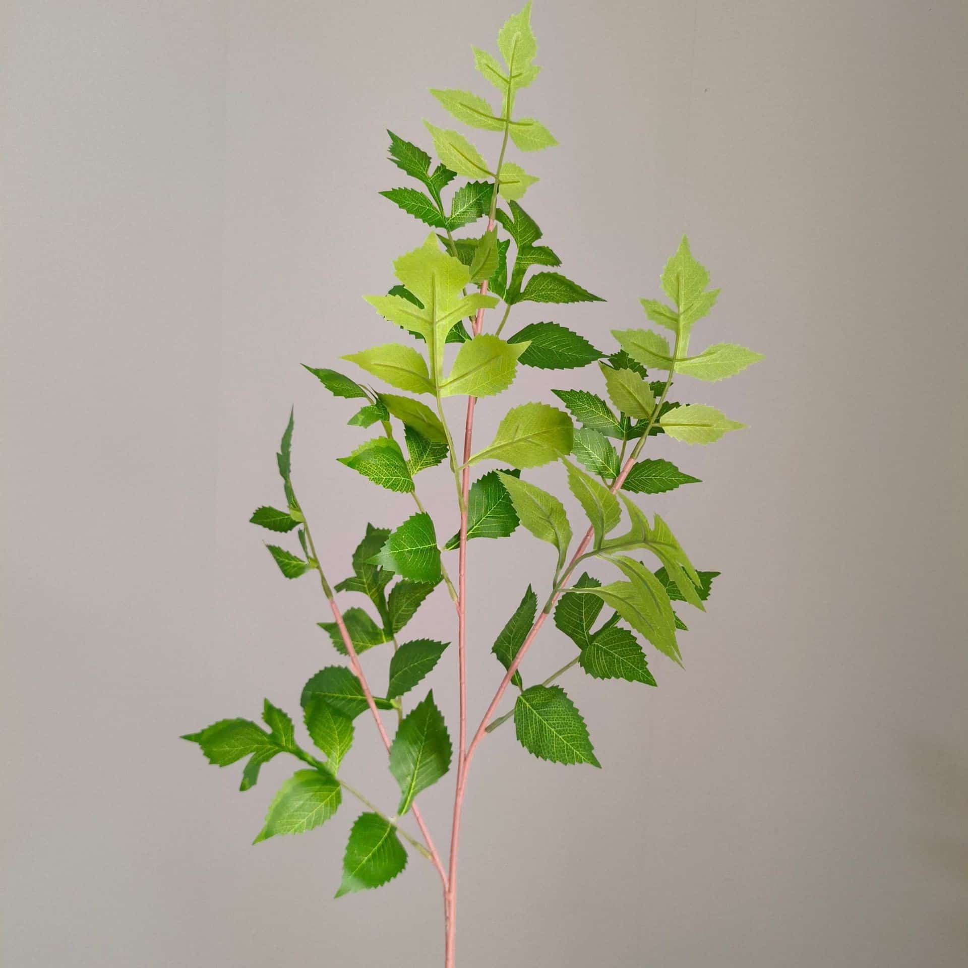 Green forest series green artificial plant green grass for wedding event decoration