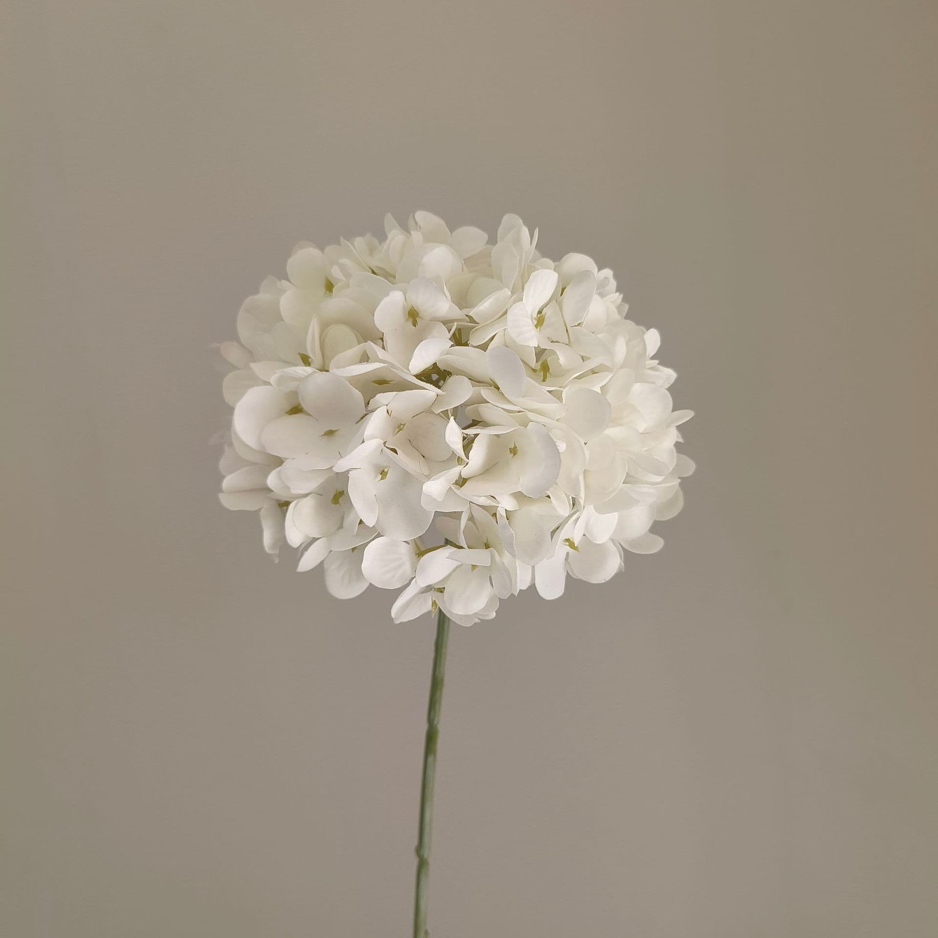 White wedding flower rose Phalaenopsis lily full of hydrangea fake flower white real flower