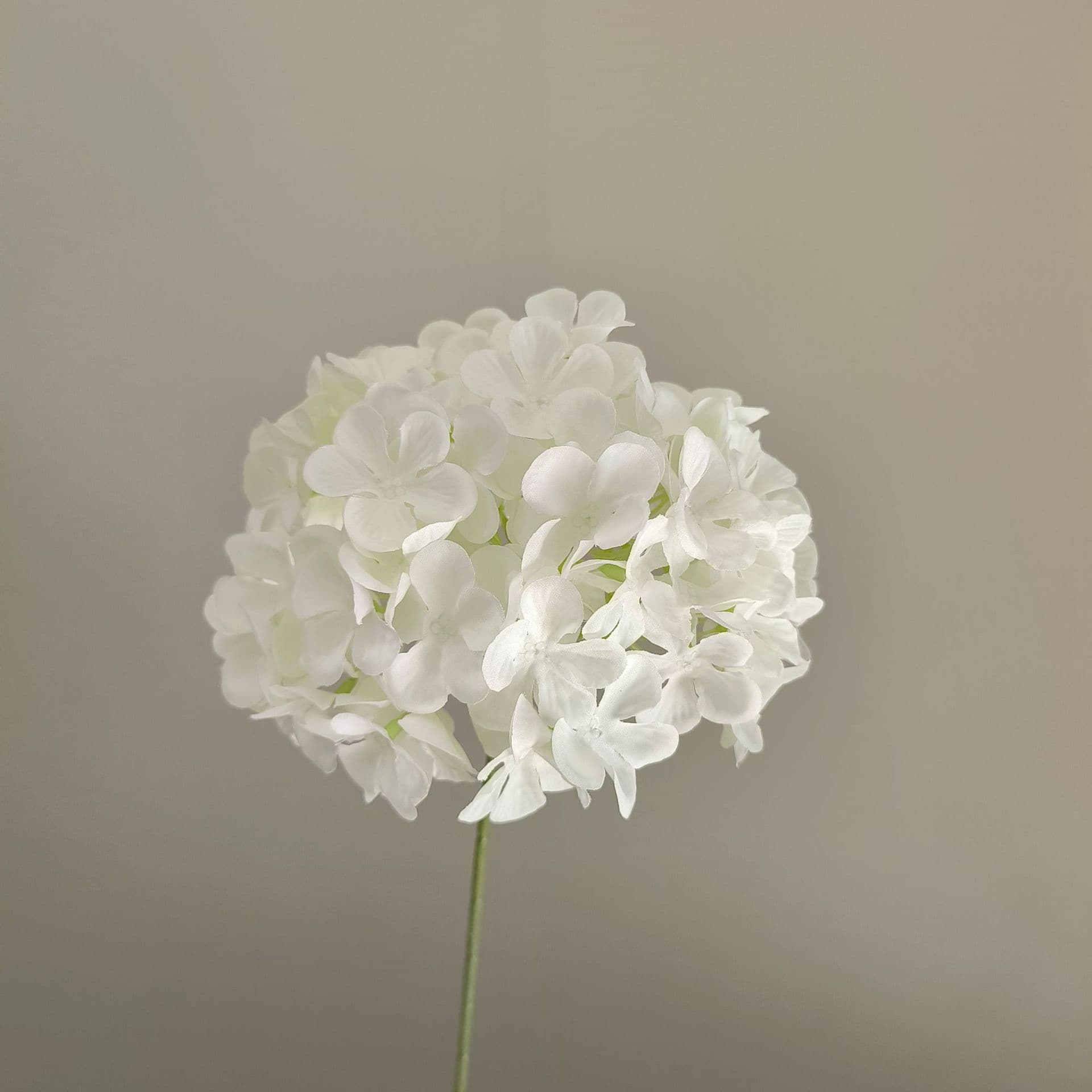 White wedding flower rose Phalaenopsis lily full of hydrangea fake flower white real flower
