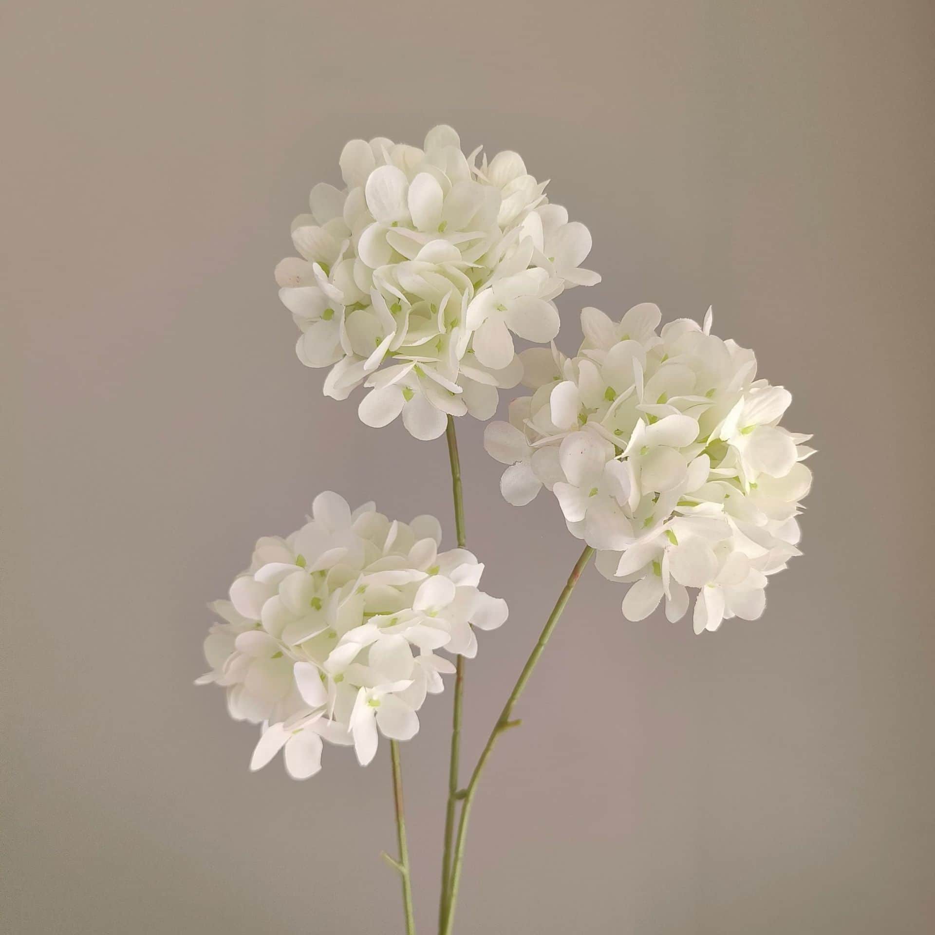 White wedding flower rose Phalaenopsis lily full of hydrangea fake flower white real flower