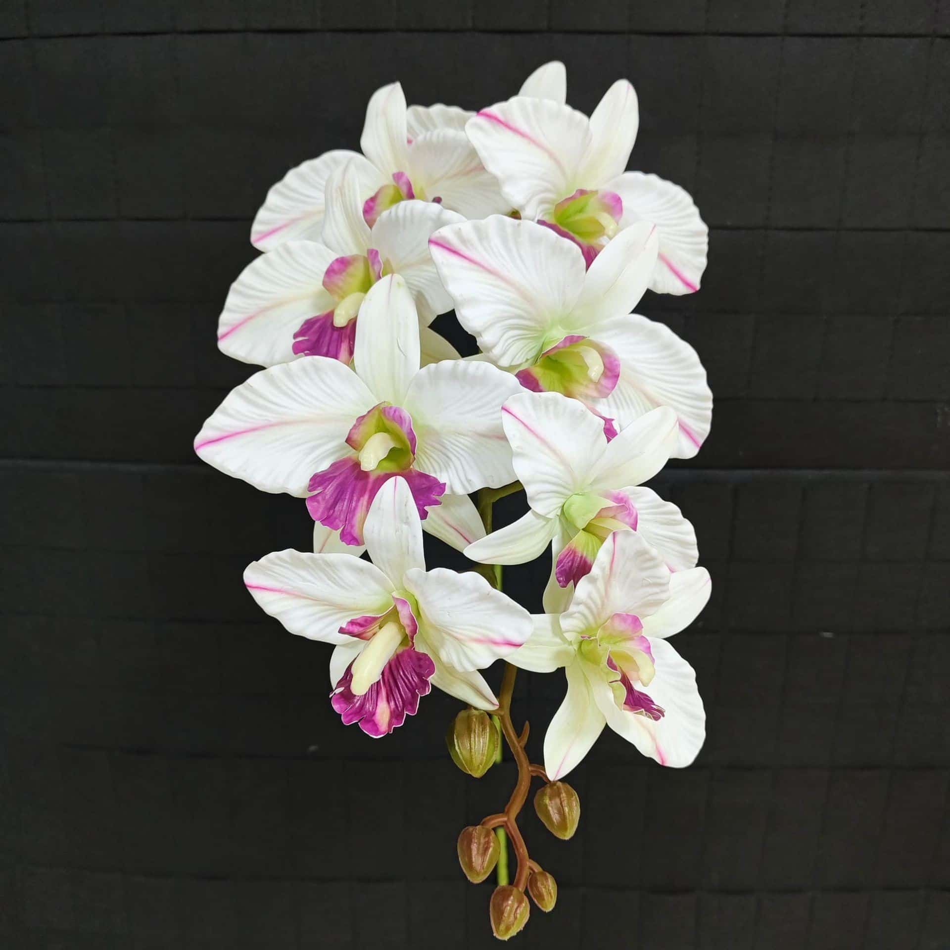 White wedding flower rose Phalaenopsis lily full of hydrangea fake flower white real flower