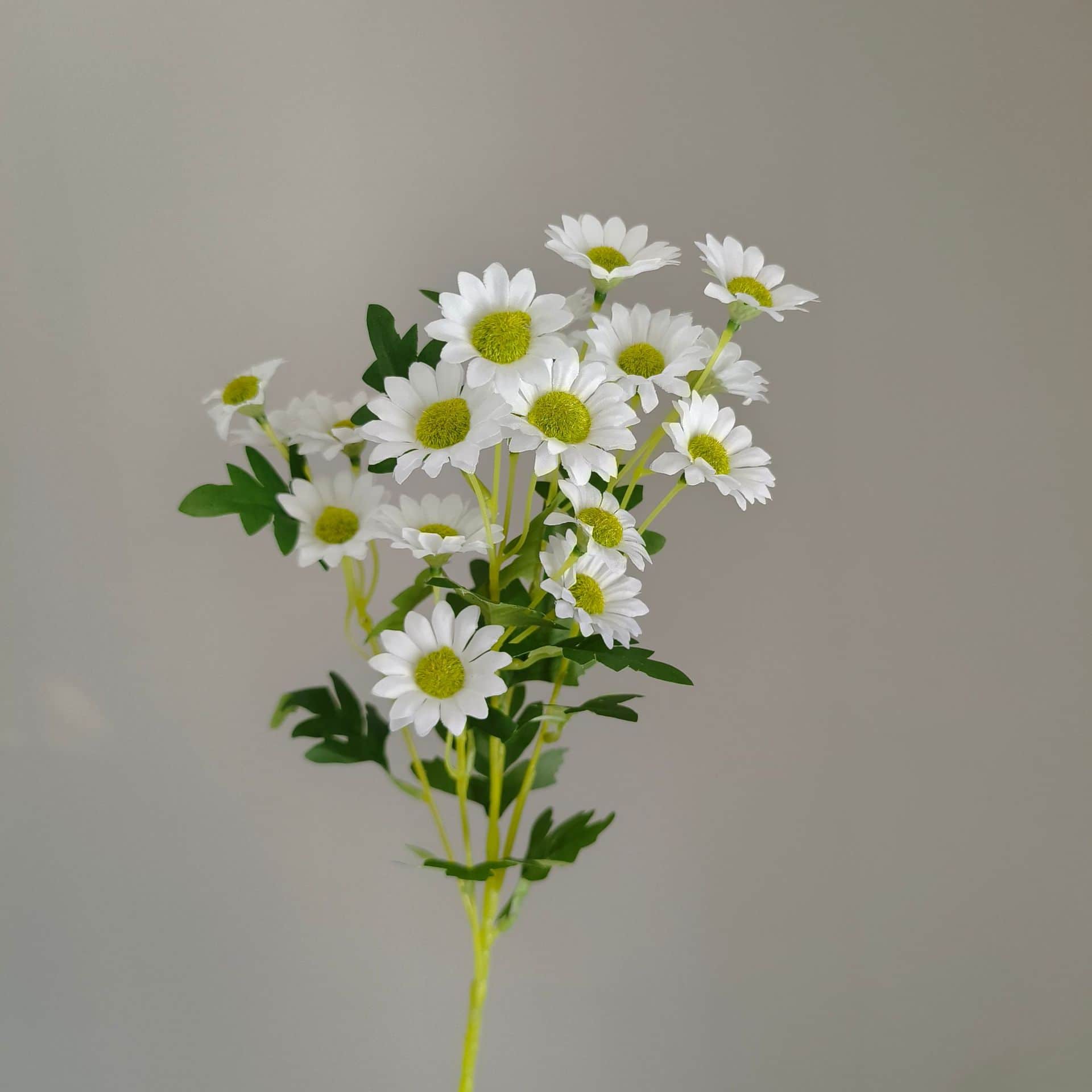 White wedding flower rose Phalaenopsis lily full of hydrangea fake flower white real flower
