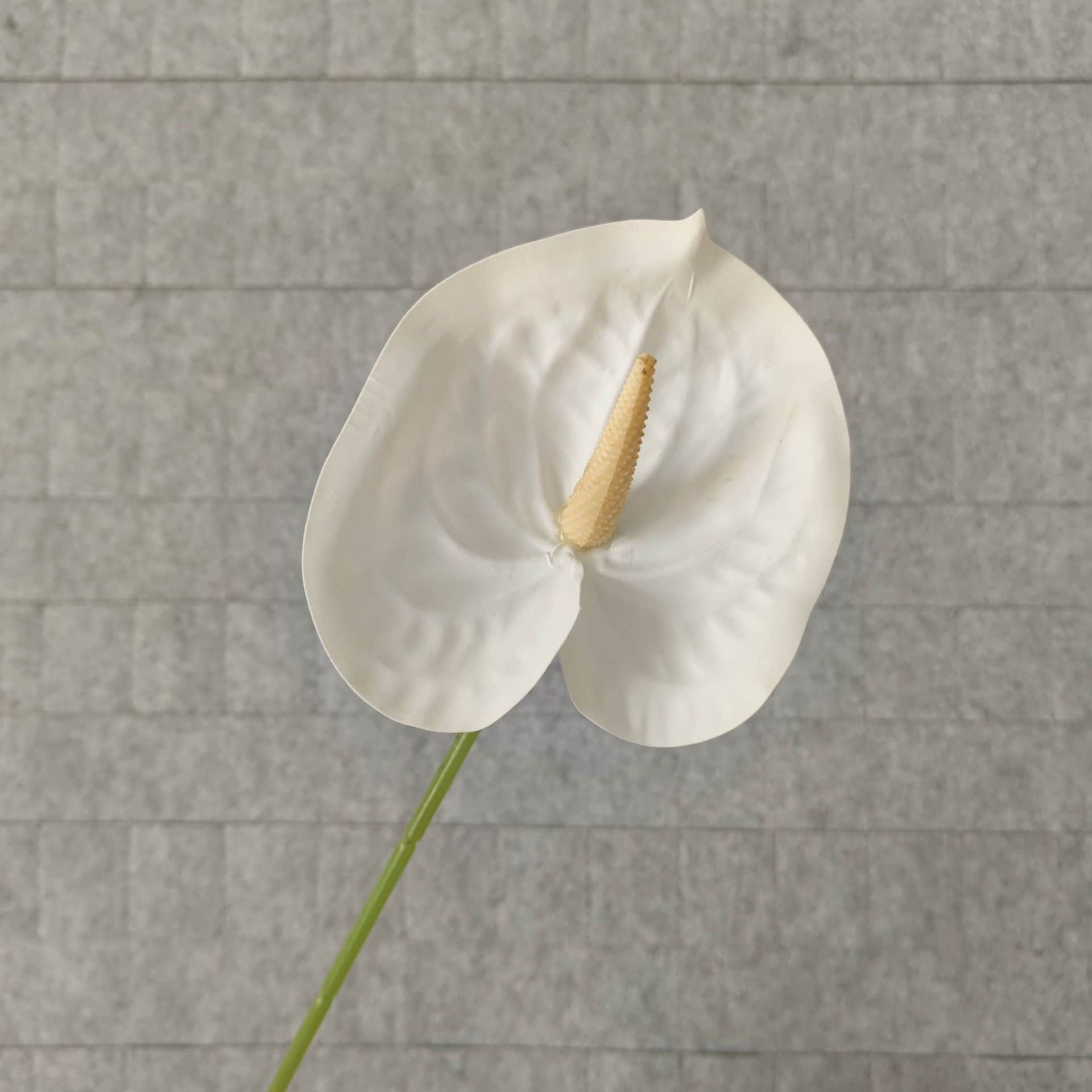 White wedding flower rose Phalaenopsis lily full of hydrangea fake flower white real flower