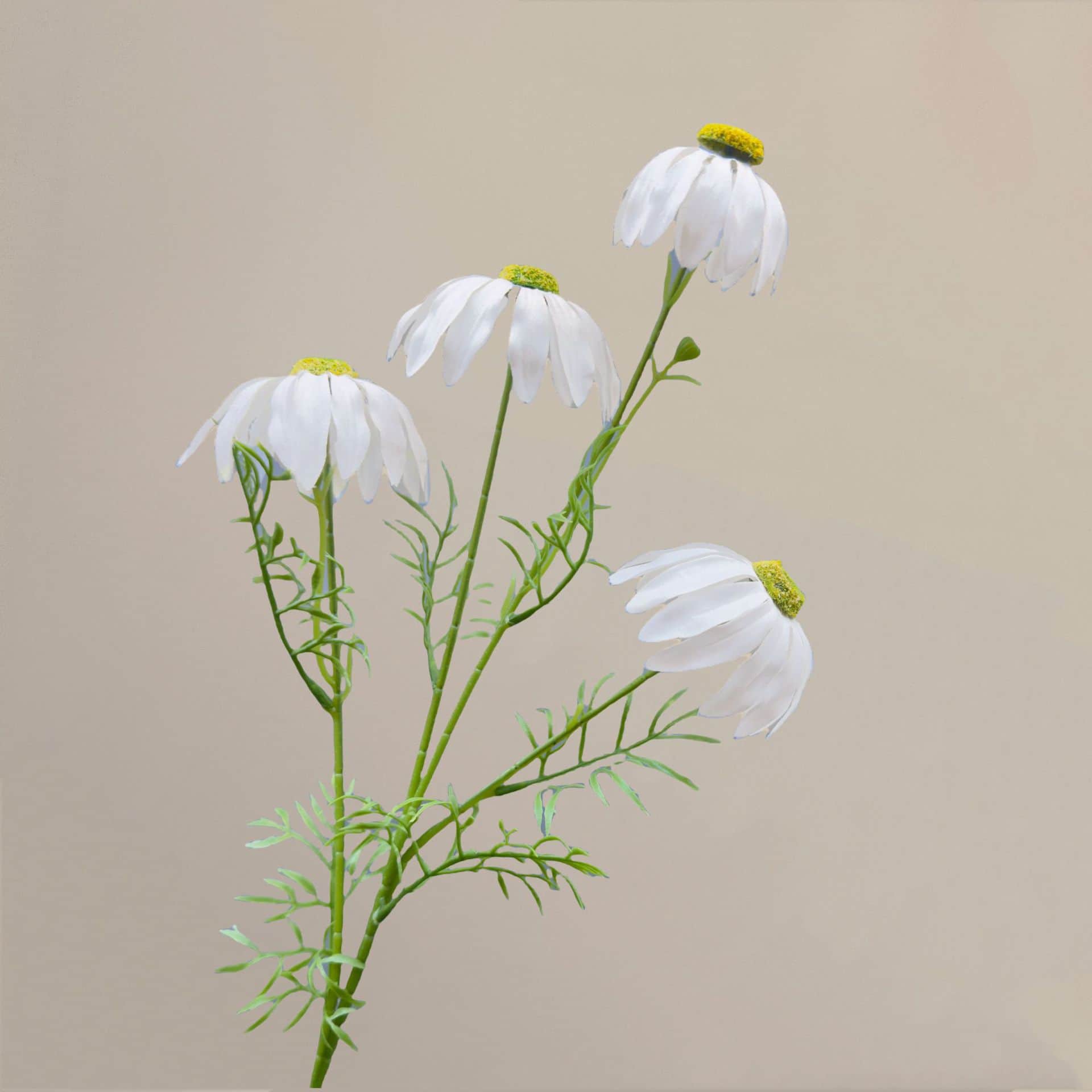White wedding flower rose Phalaenopsis lily full of hydrangea fake flower white real flower