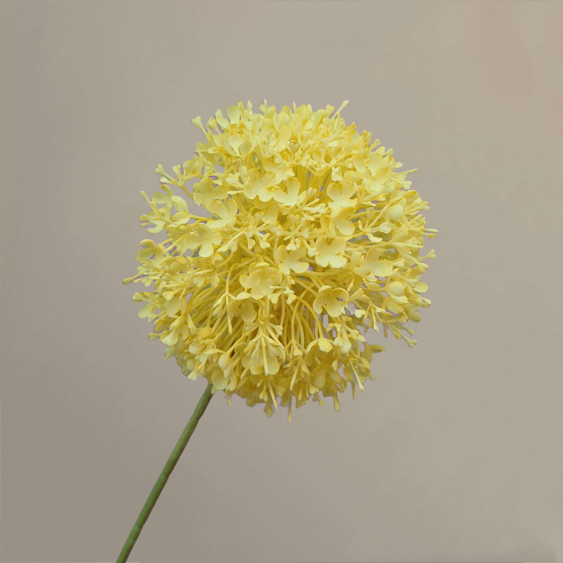 Yellow orange artificial flowers wedding flowers faux yellow flowers 