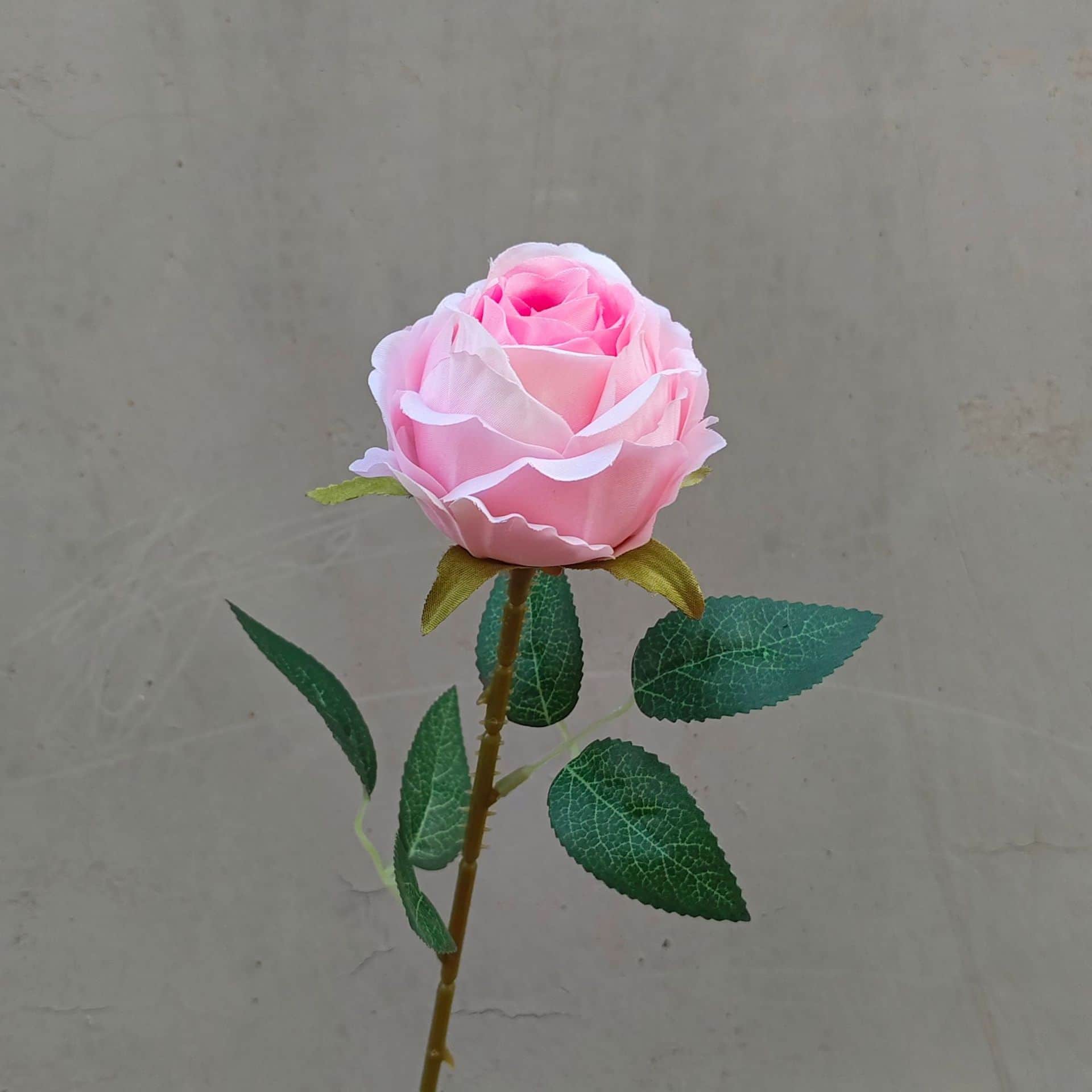 all kinds of wedding artificial rose velet rose bulk rose clearance terracotta wedding flowers