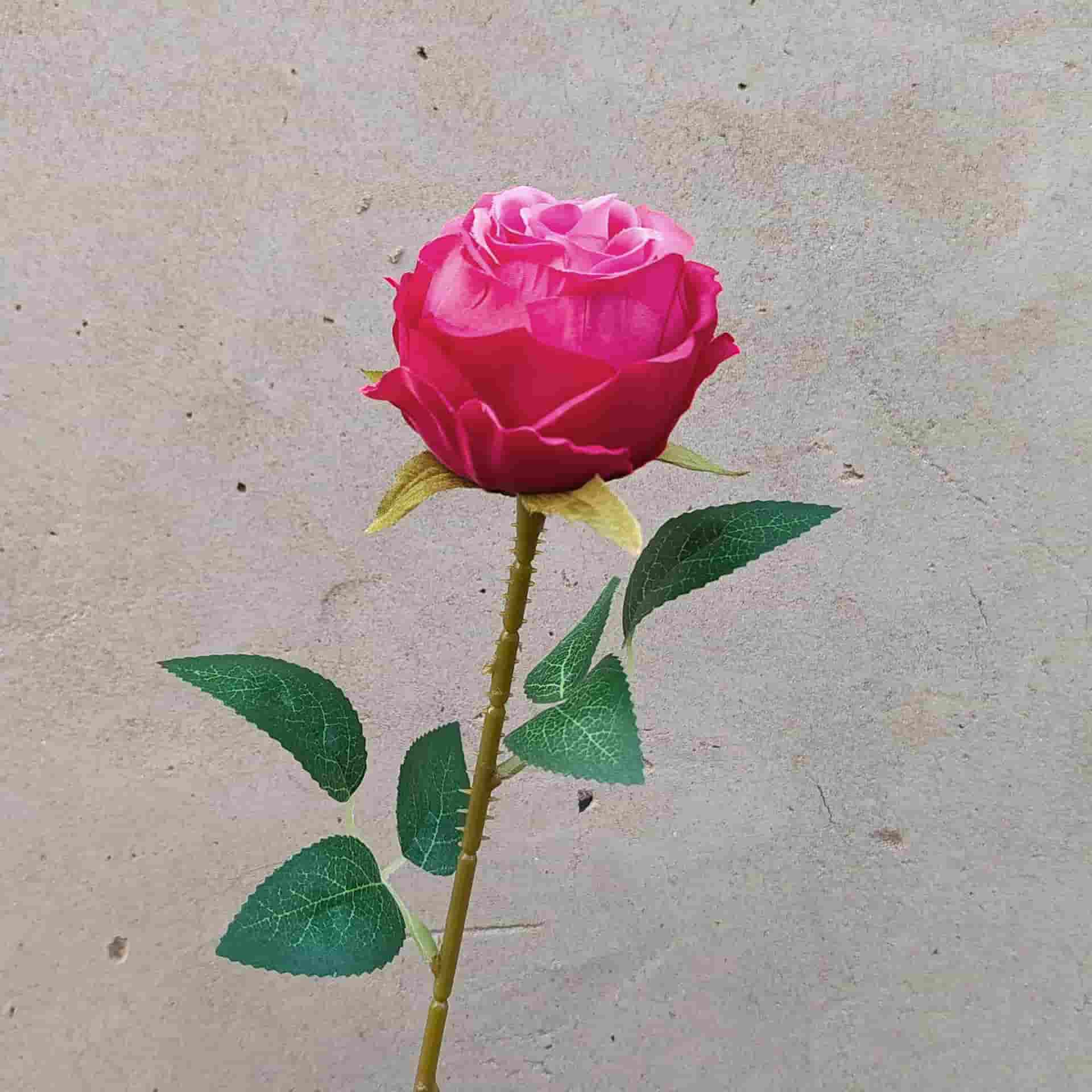 all kinds of wedding artificial rose velet rose bulk rose clearance terracotta wedding flowers