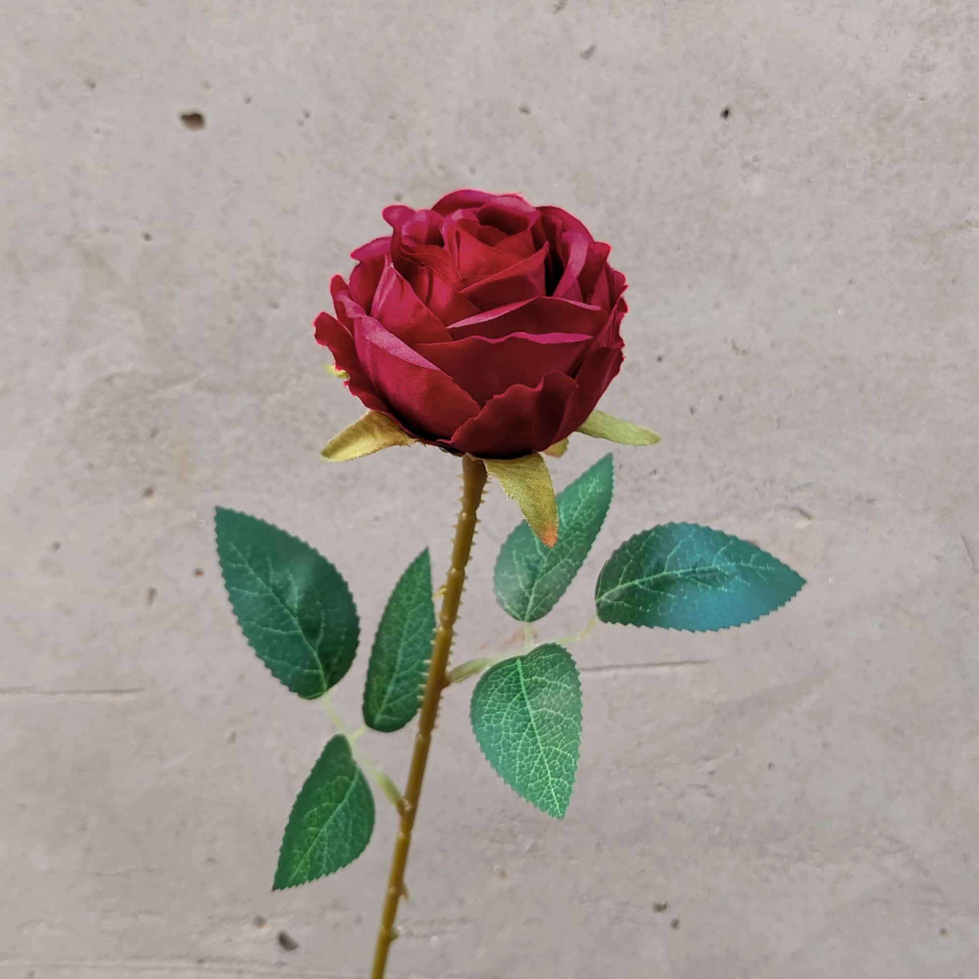 all kinds of wedding artificial rose velet rose bulk rose clearance terracotta wedding flowers