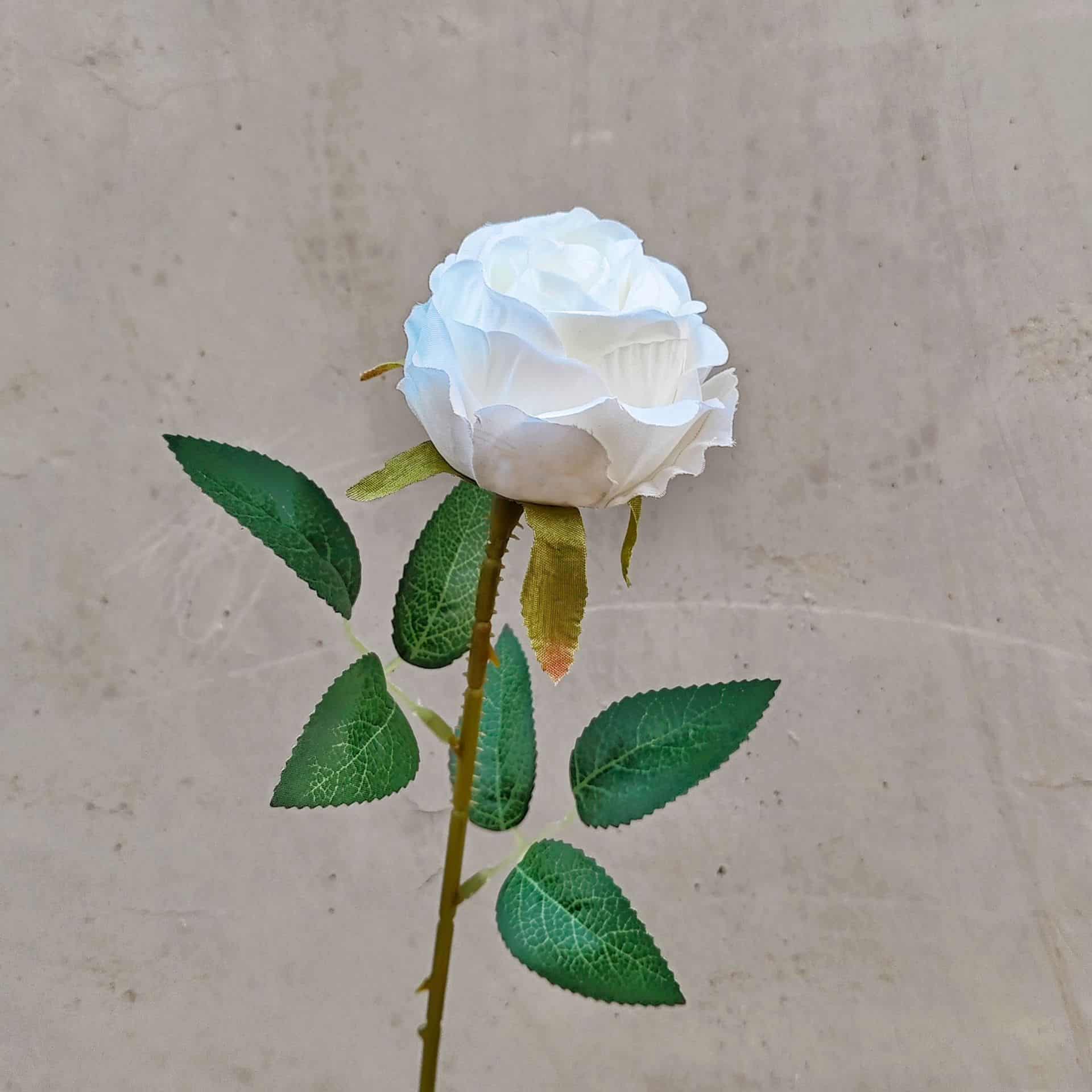 all kinds of wedding artificial rose velet rose bulk rose clearance terracotta wedding flowers