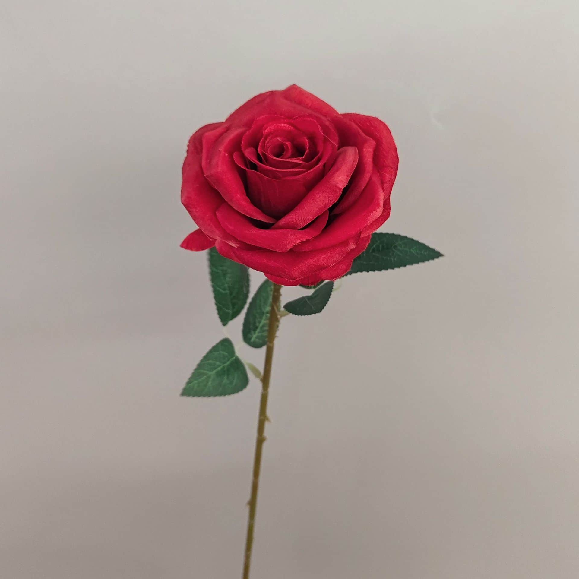 all kinds of wedding artificial rose velet rose bulk rose clearance terracotta wedding flowers