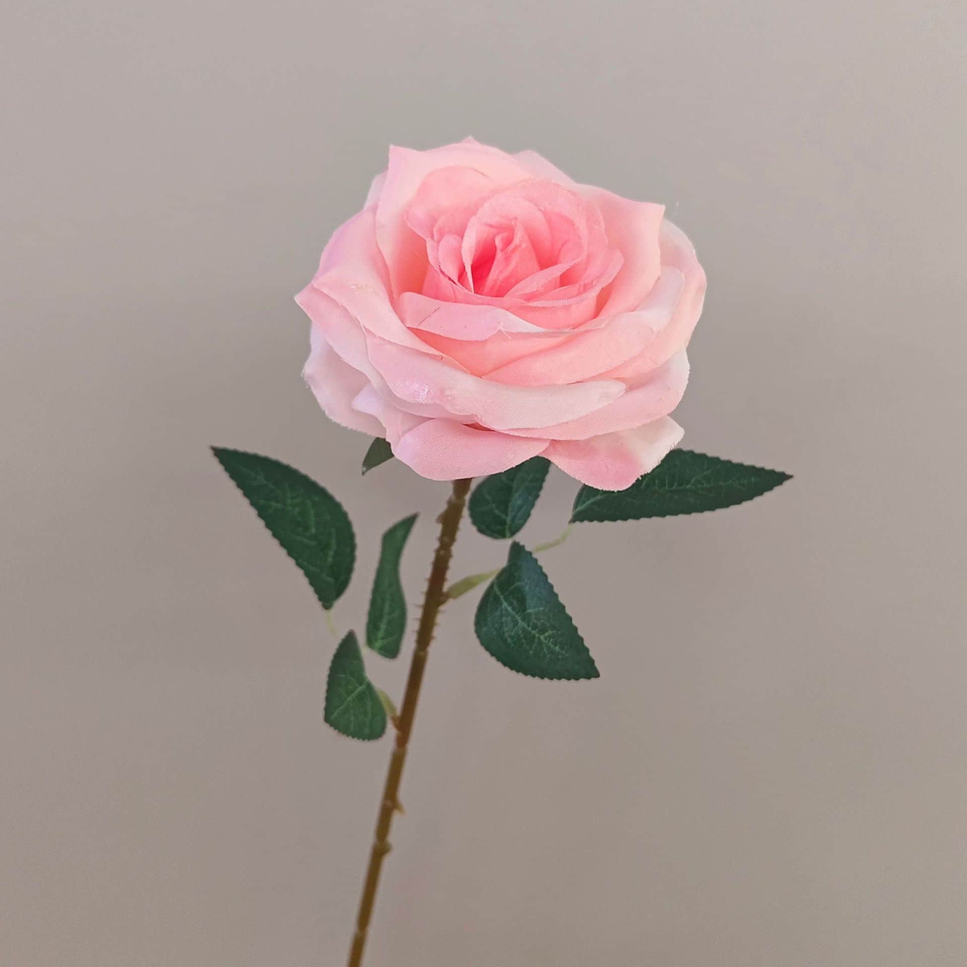 all kinds of wedding artificial rose velet rose bulk rose clearance terracotta wedding flowers