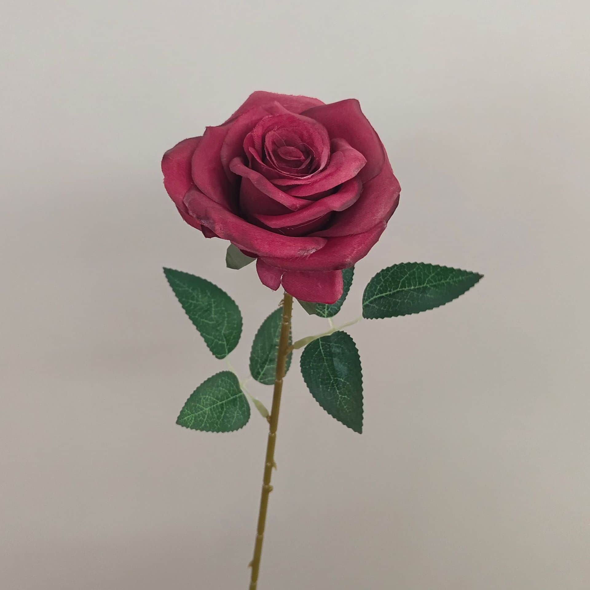 all kinds of wedding artificial rose velet rose bulk rose clearance terracotta wedding flowers