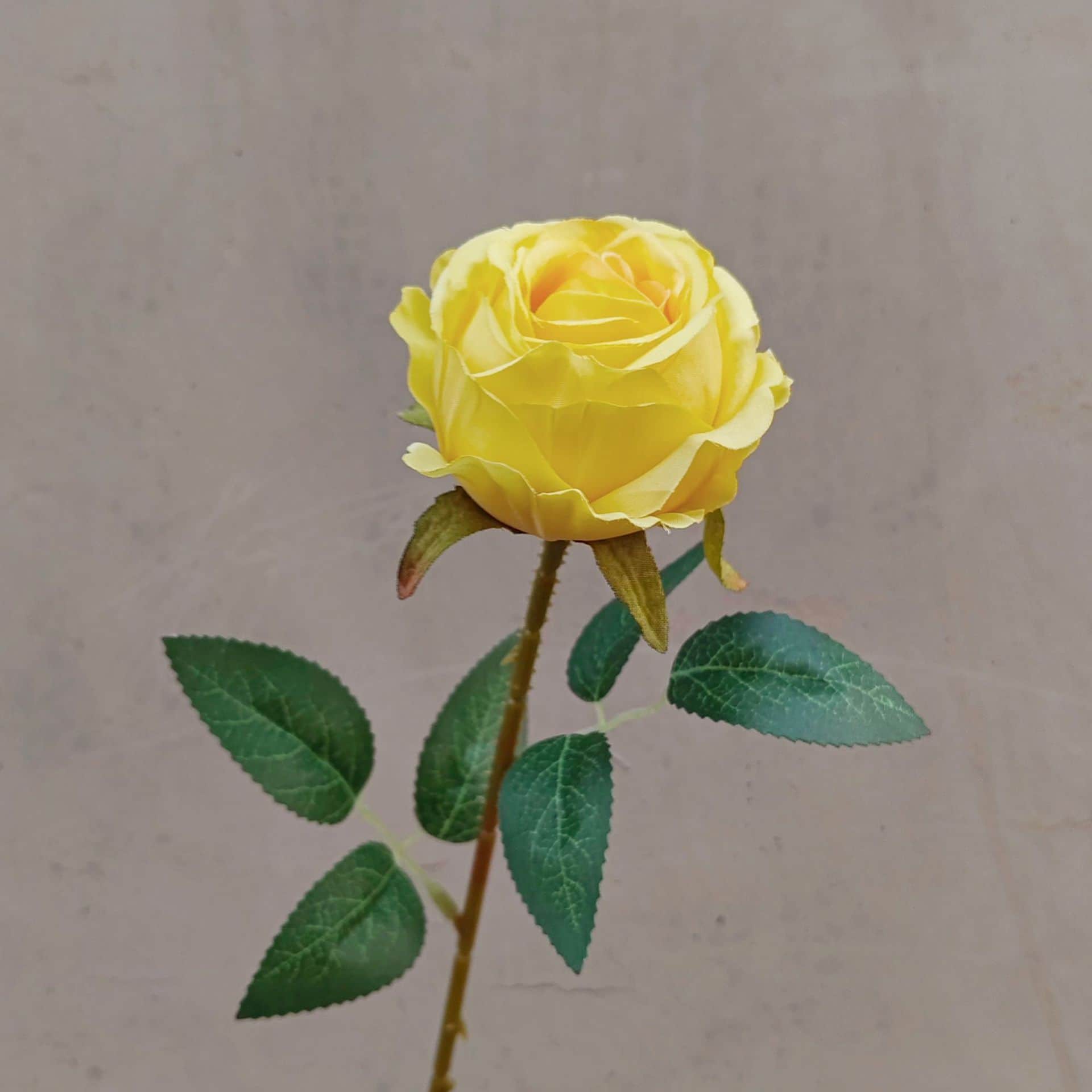 all kinds of wedding artificial rose velet rose bulk rose clearance terracotta wedding flowers