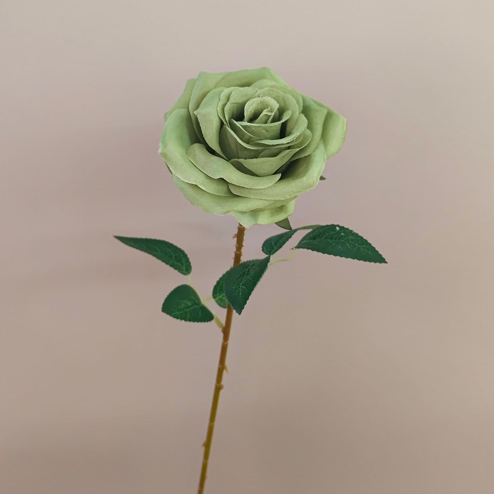 all kinds of wedding artificial rose velet rose bulk rose clearance terracotta wedding flowers