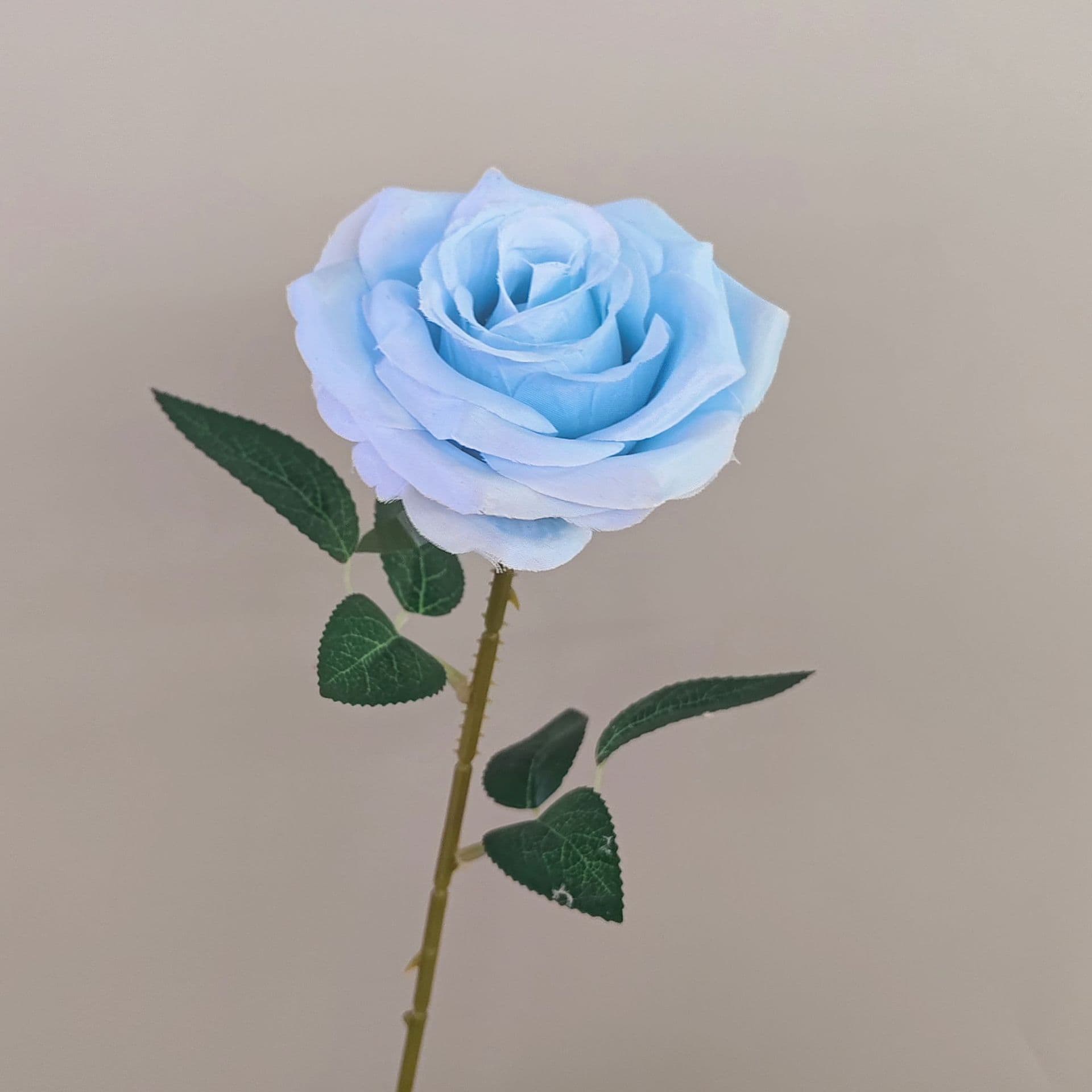all kinds of wedding artificial rose velet rose bulk rose clearance terracotta wedding flowers