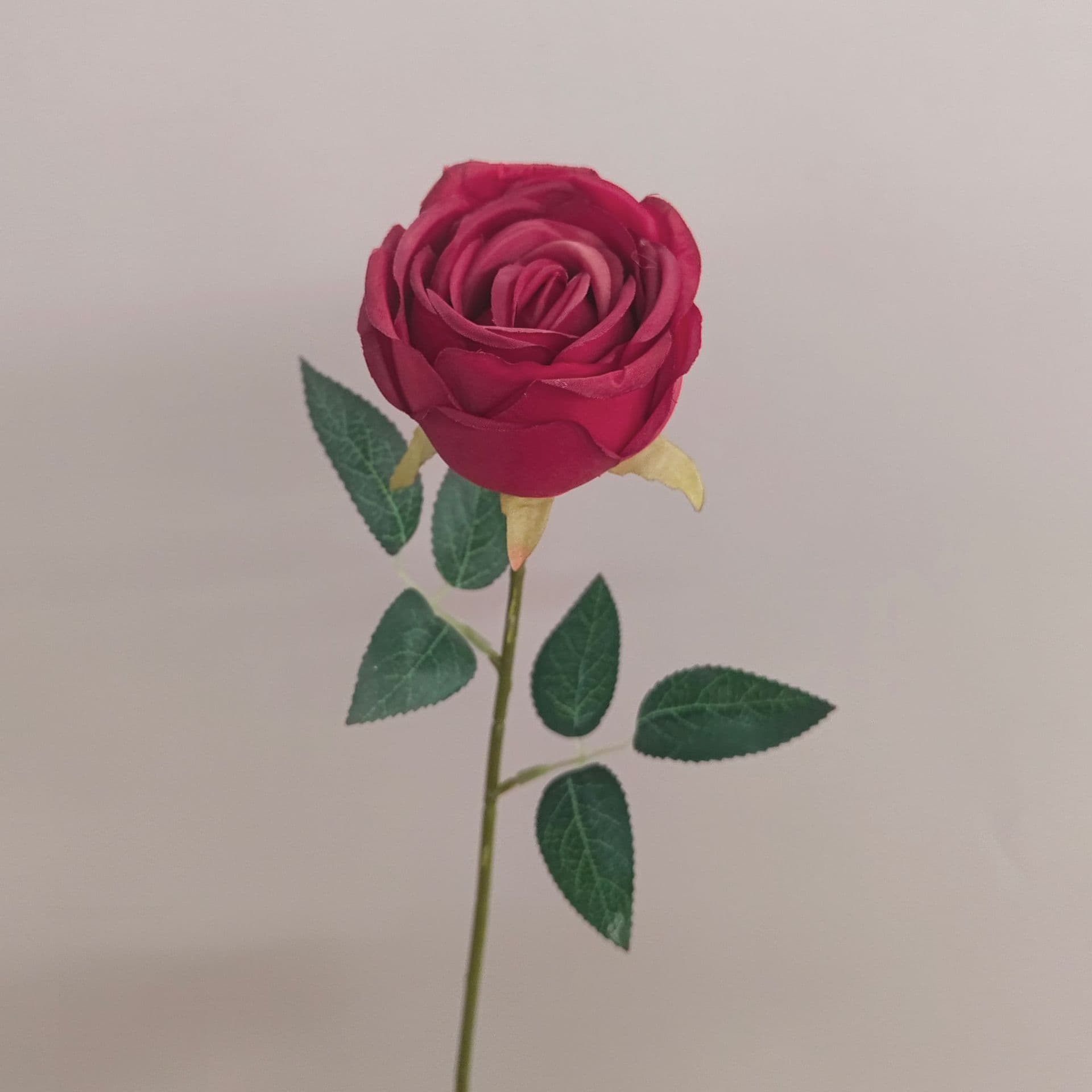all kinds of wedding artificial rose velet rose bulk rose clearance terracotta wedding flowers
