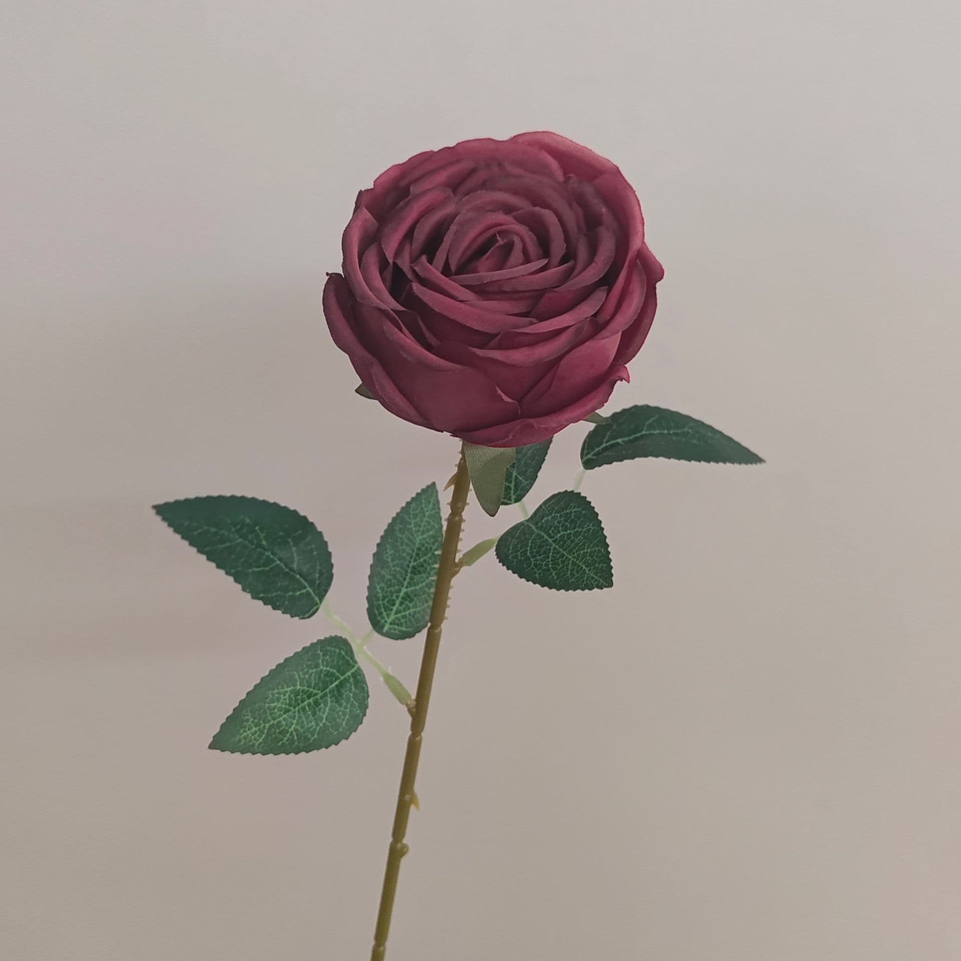 all kinds of wedding artificial rose velet rose bulk rose clearance terracotta wedding flowers