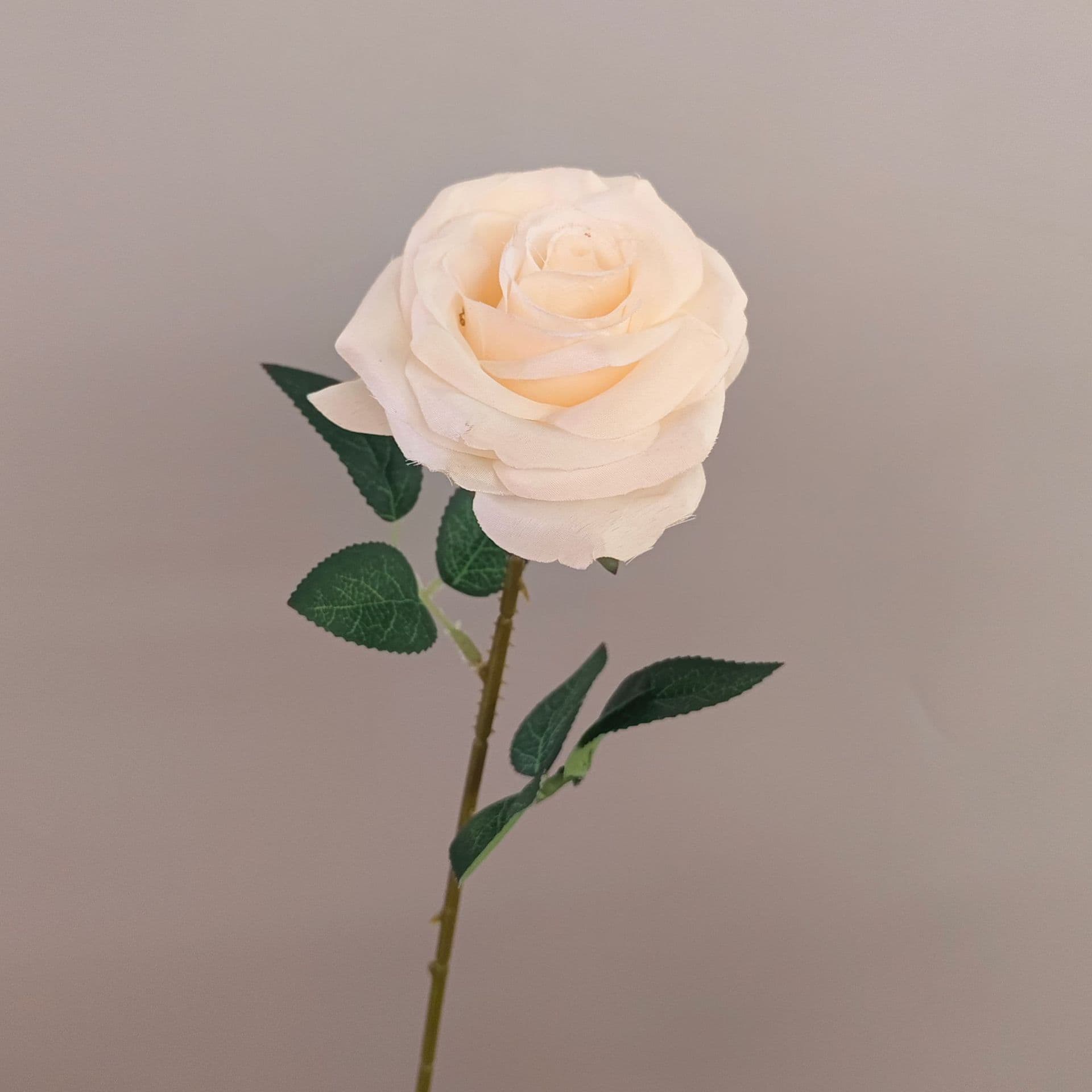 all kinds of wedding artificial rose velet rose bulk rose clearance terracotta wedding flowers