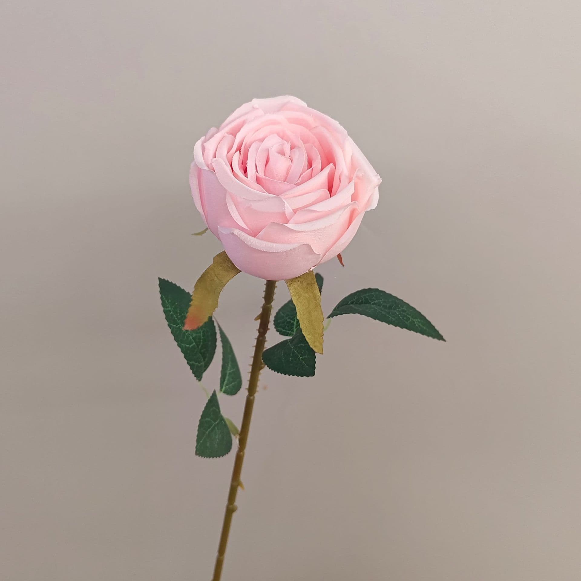 all kinds of wedding artificial rose velet rose bulk rose clearance terracotta wedding flowers
