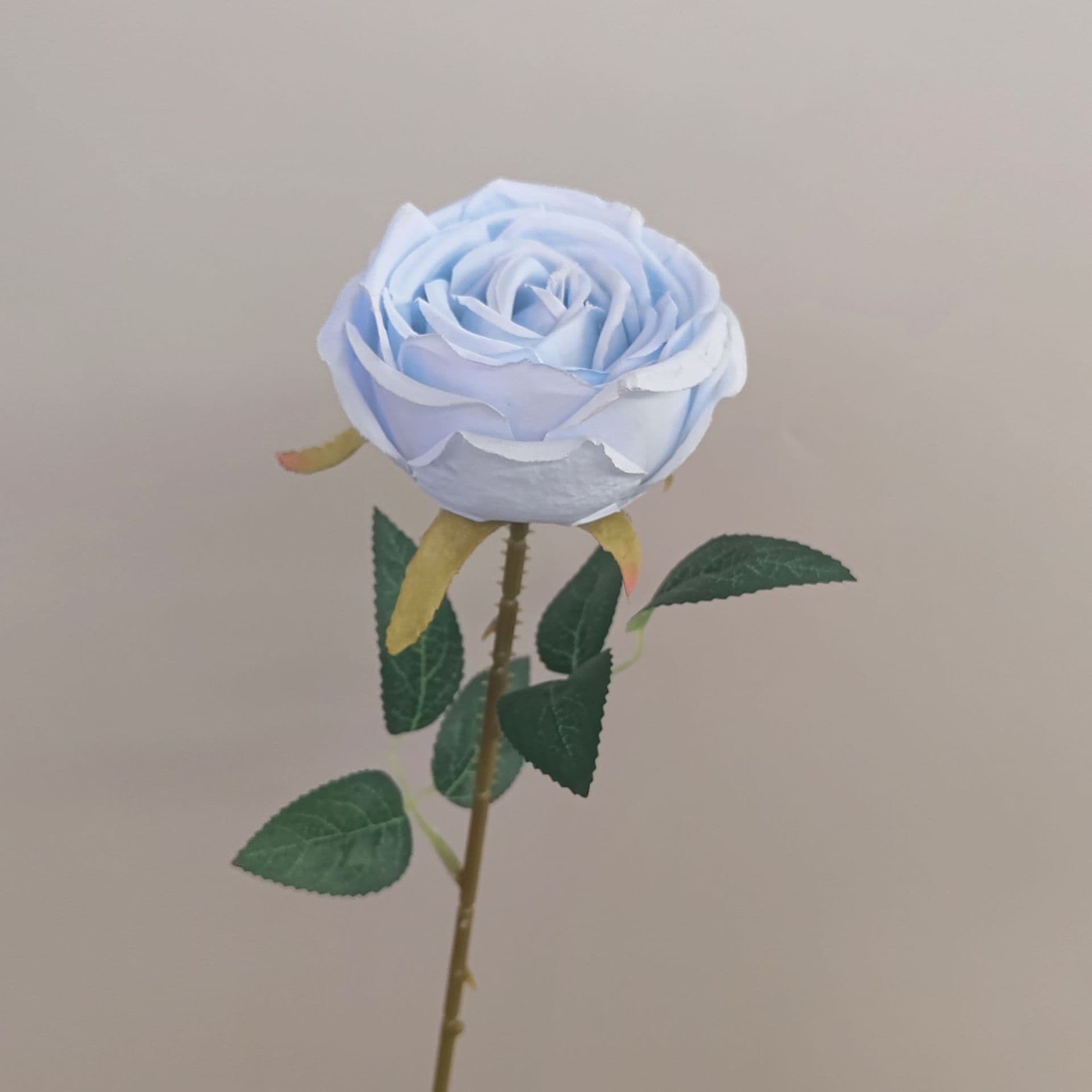 all kinds of wedding artificial rose velet rose bulk rose clearance terracotta wedding flowers