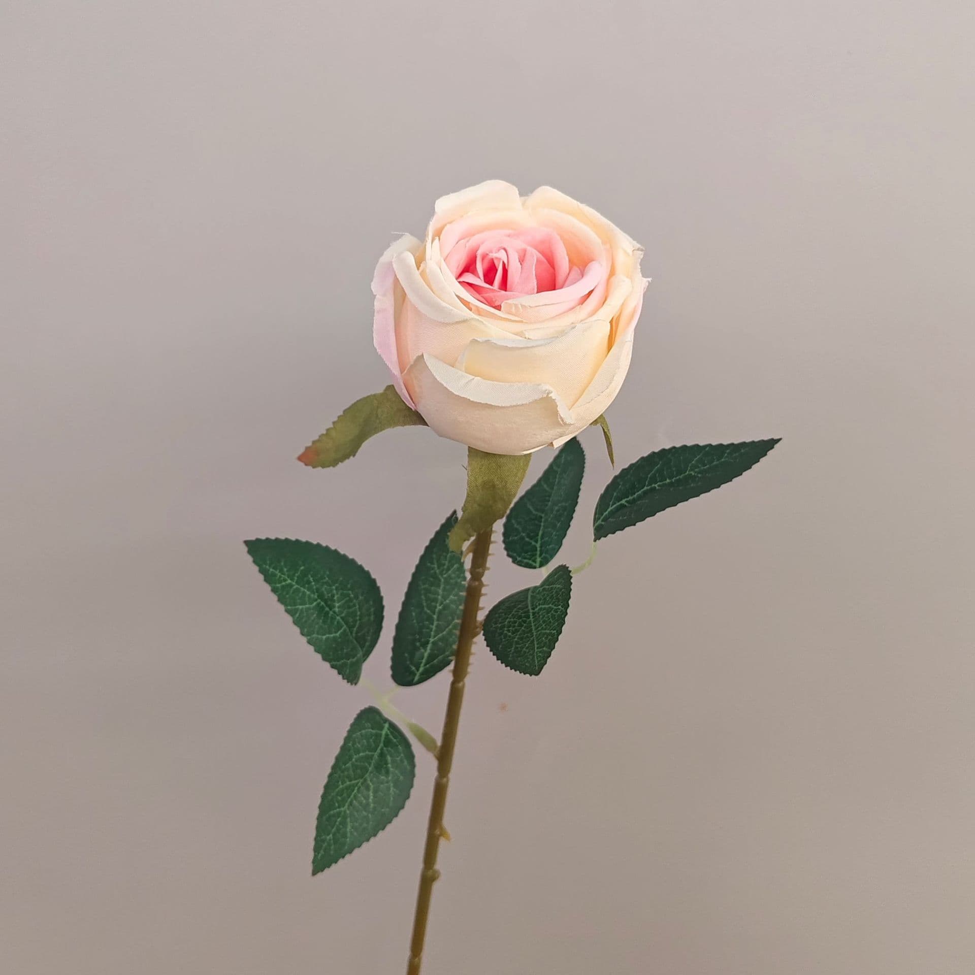 all kinds of wedding artificial rose velet rose bulk rose clearance terracotta wedding flowers
