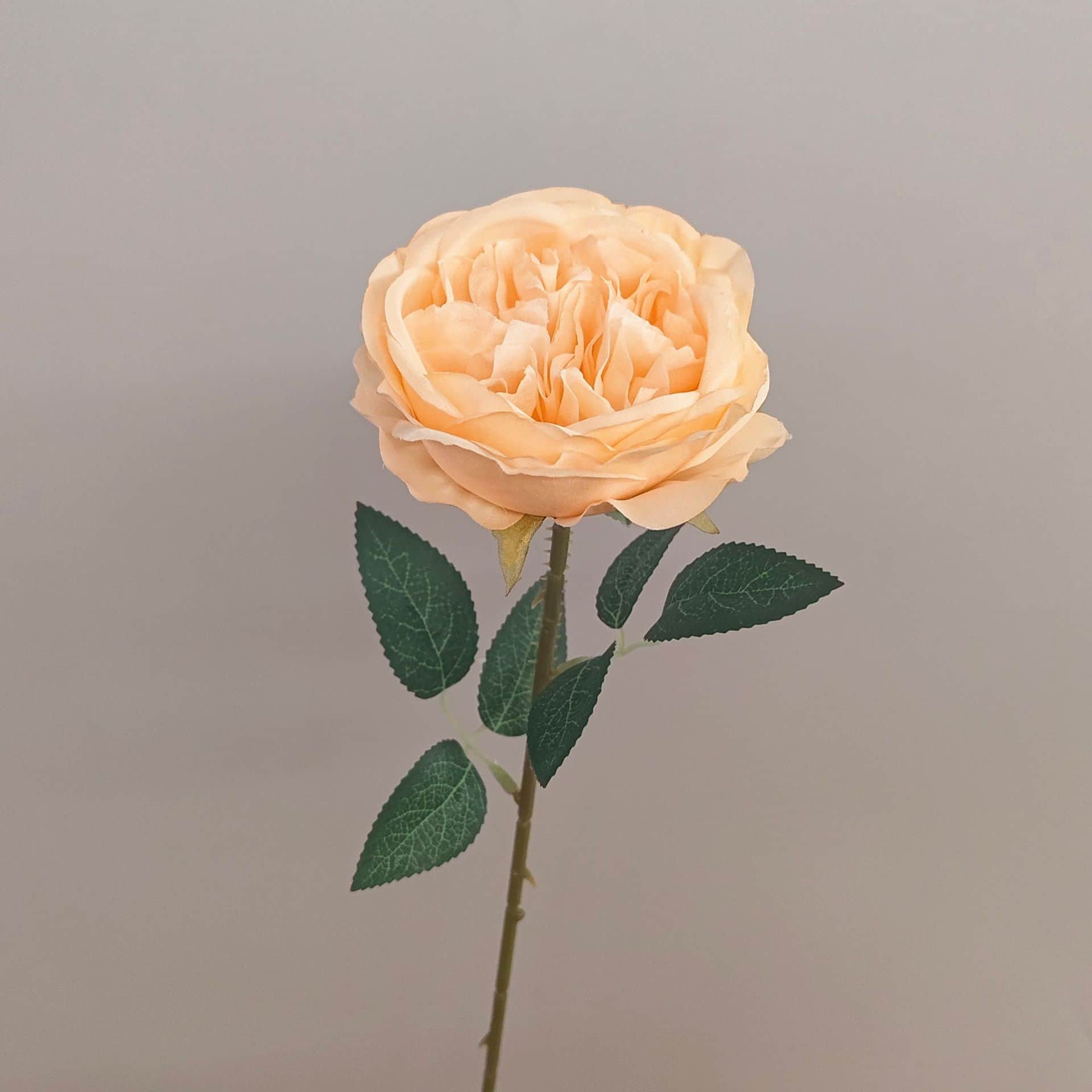 all kinds of wedding artificial rose velet rose bulk rose clearance terracotta wedding flowers