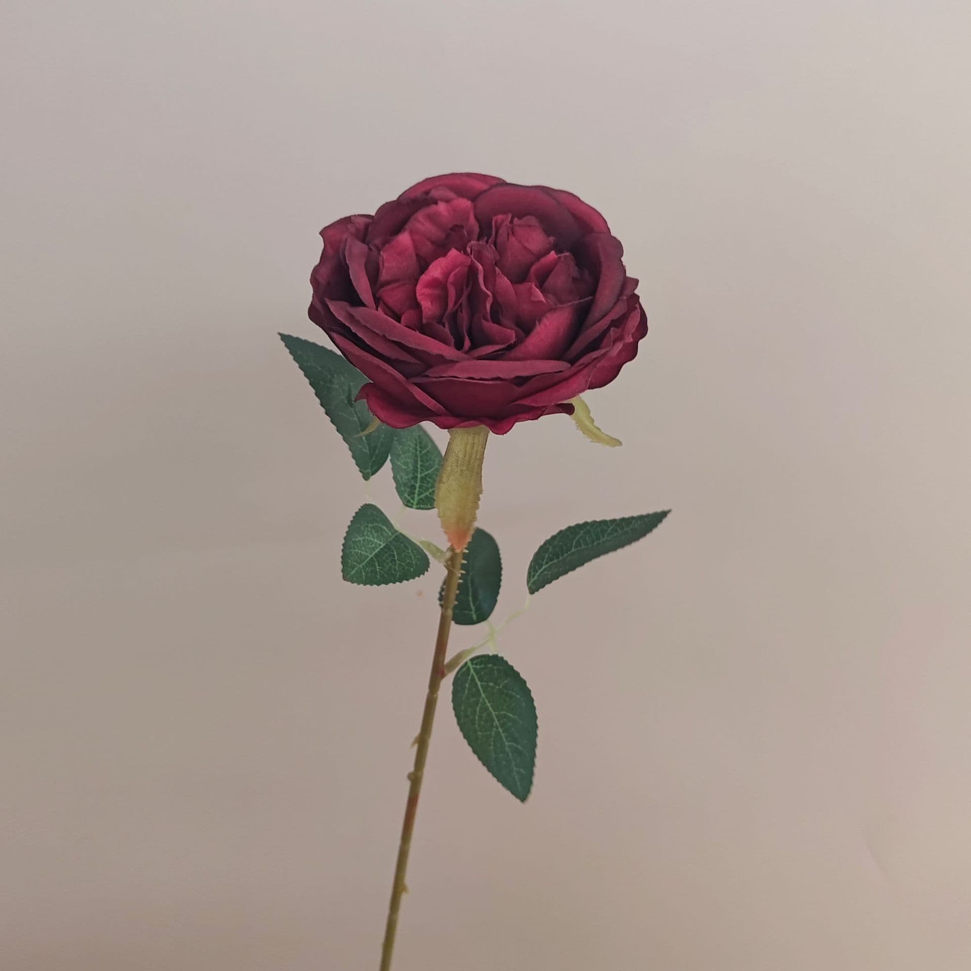 all kinds of wedding artificial rose velet rose bulk rose clearance terracotta wedding flowers