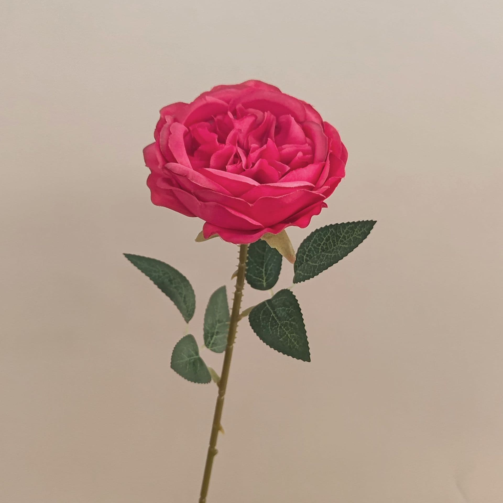 all kinds of wedding artificial rose velet rose bulk rose clearance terracotta wedding flowers
