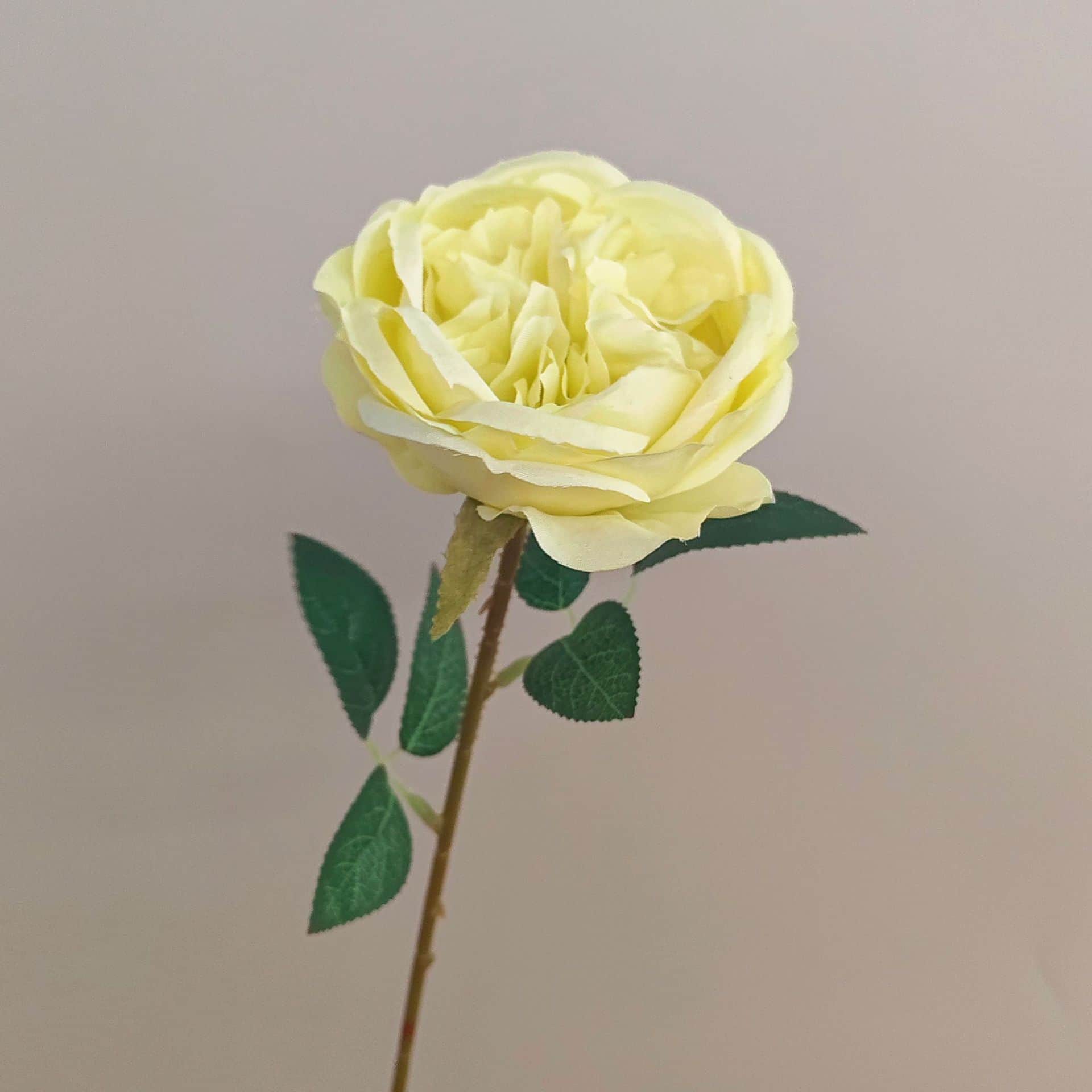 all kinds of wedding artificial rose velet rose bulk rose clearance terracotta wedding flowers