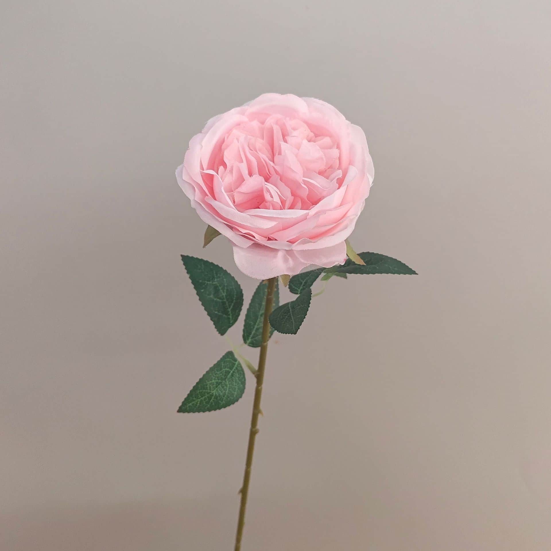 all kinds of wedding artificial rose velet rose bulk rose clearance terracotta wedding flowers