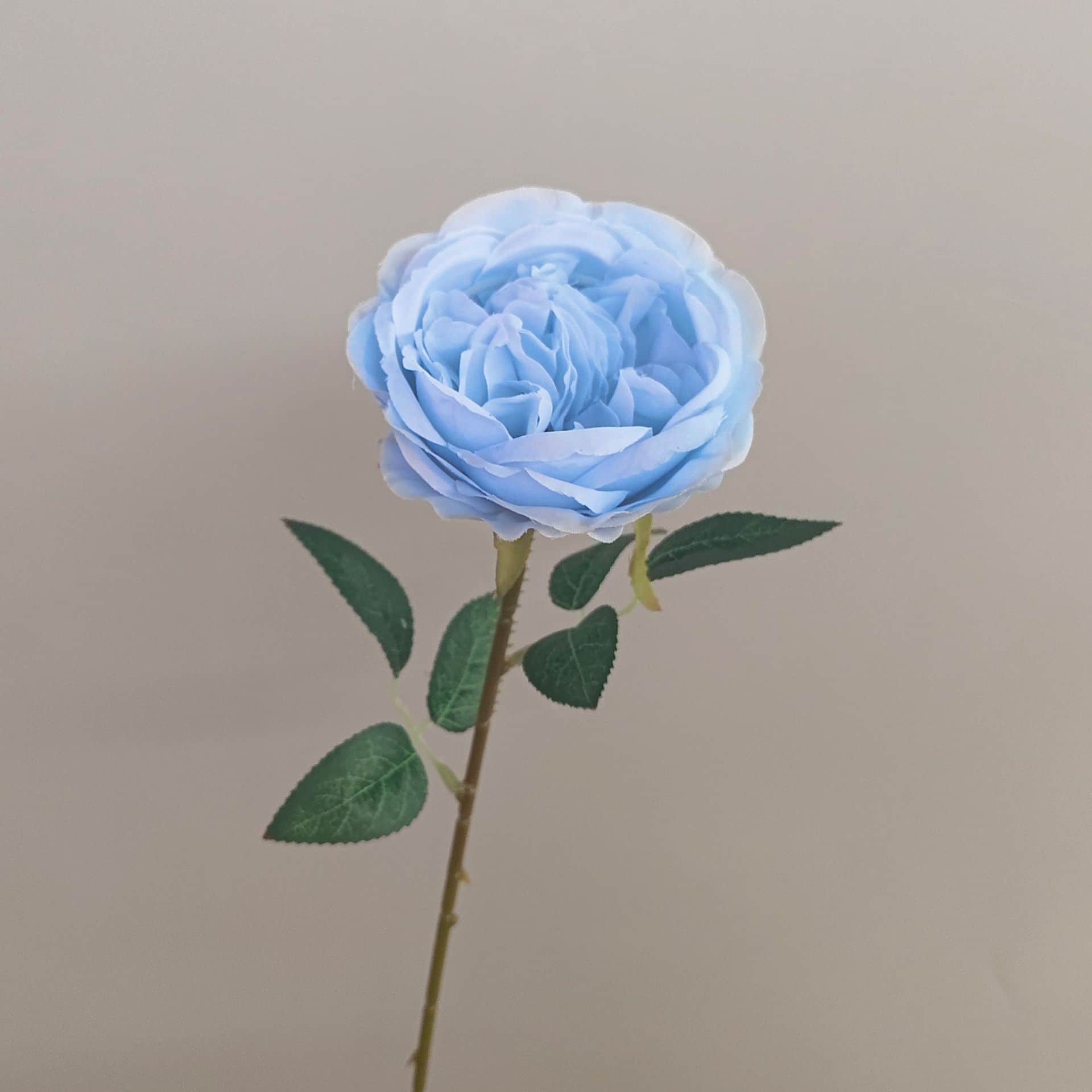 all kinds of wedding artificial rose velet rose bulk rose clearance terracotta wedding flowers