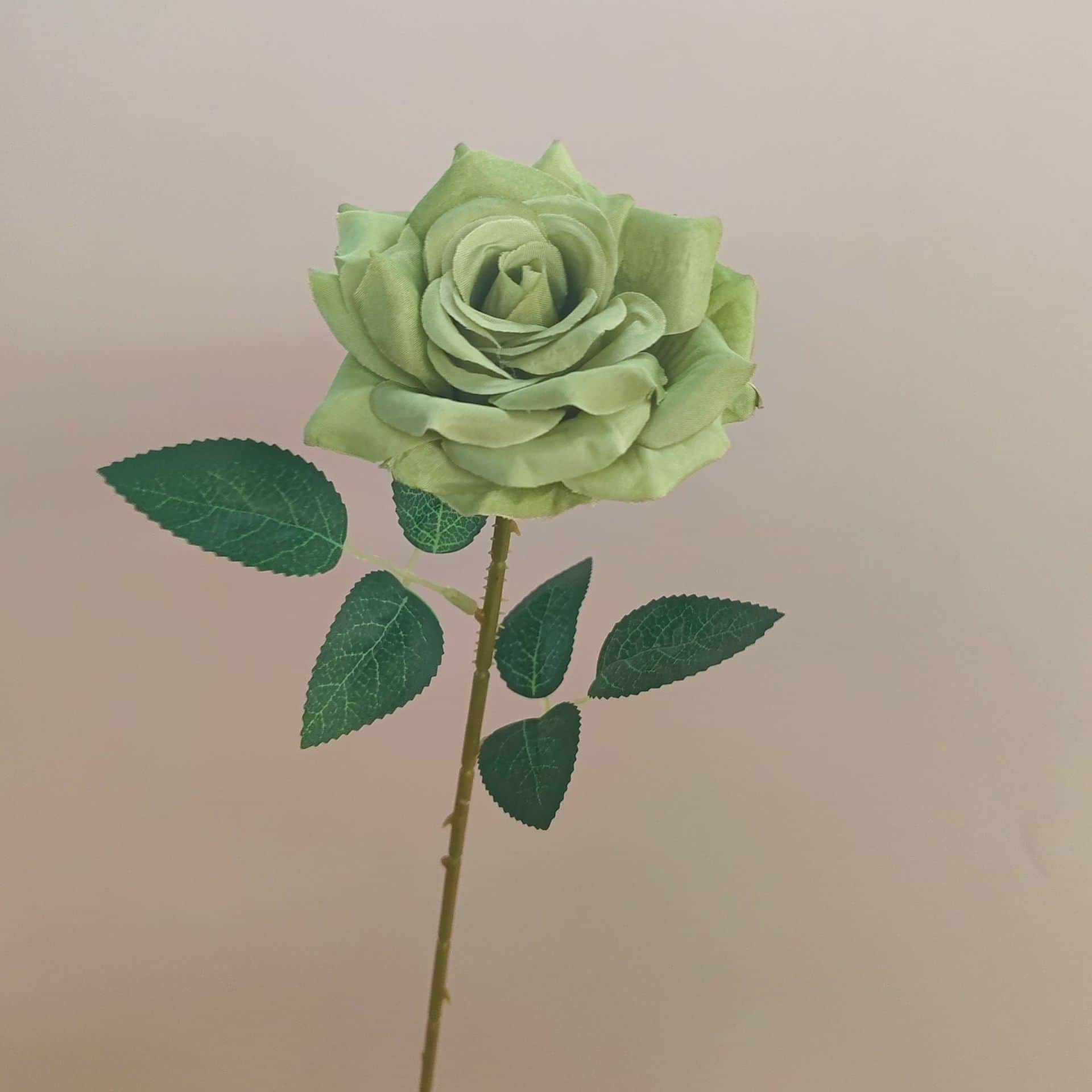 all kinds of wedding artificial rose velet rose bulk rose clearance terracotta wedding flowers