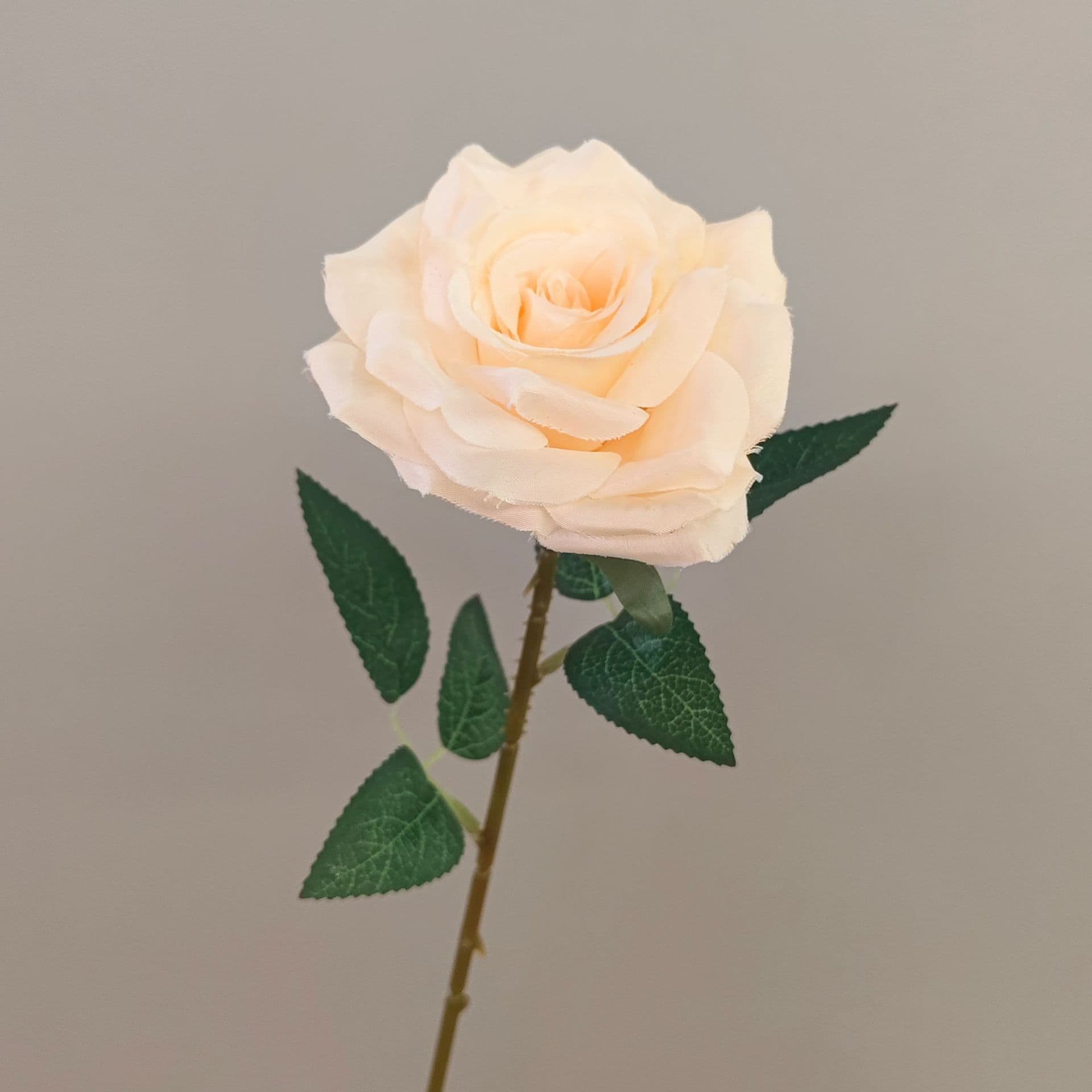 all kinds of wedding artificial rose velet rose bulk rose clearance terracotta wedding flowers
