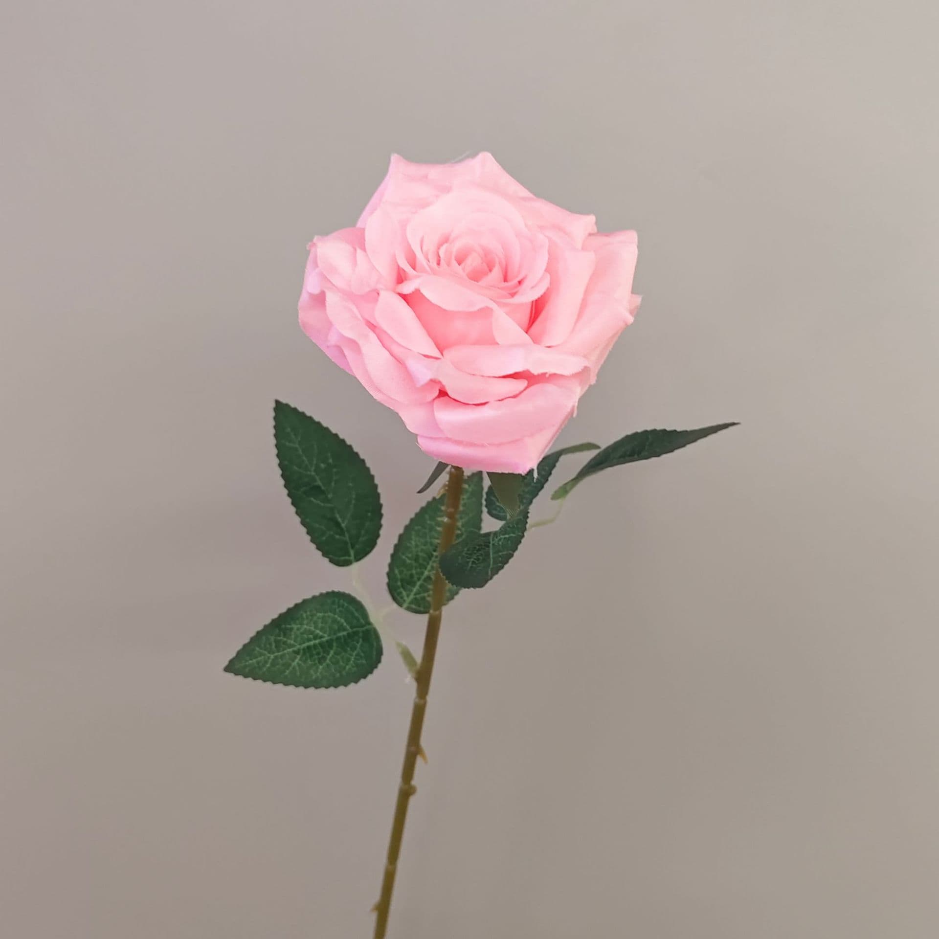 all kinds of wedding artificial rose velet rose bulk rose clearance terracotta wedding flowers