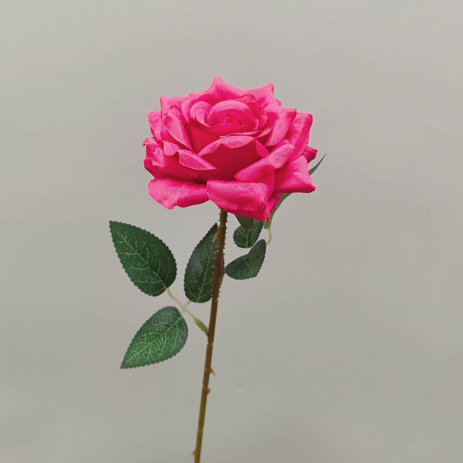 all kinds of wedding artificial rose velet rose bulk rose clearance terracotta wedding flowers