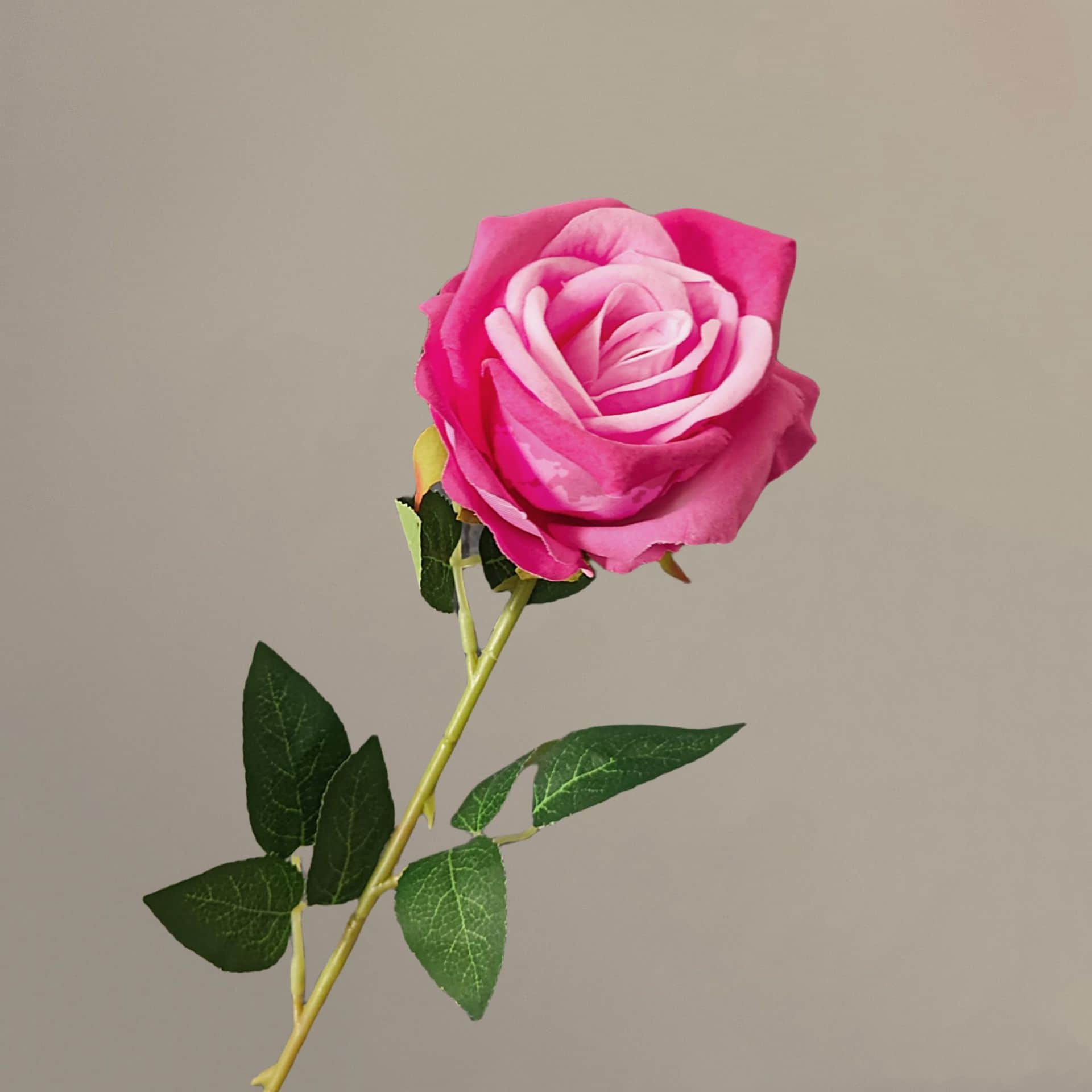 all kinds of wedding artificial rose velet rose bulk rose clearance terracotta wedding flowers